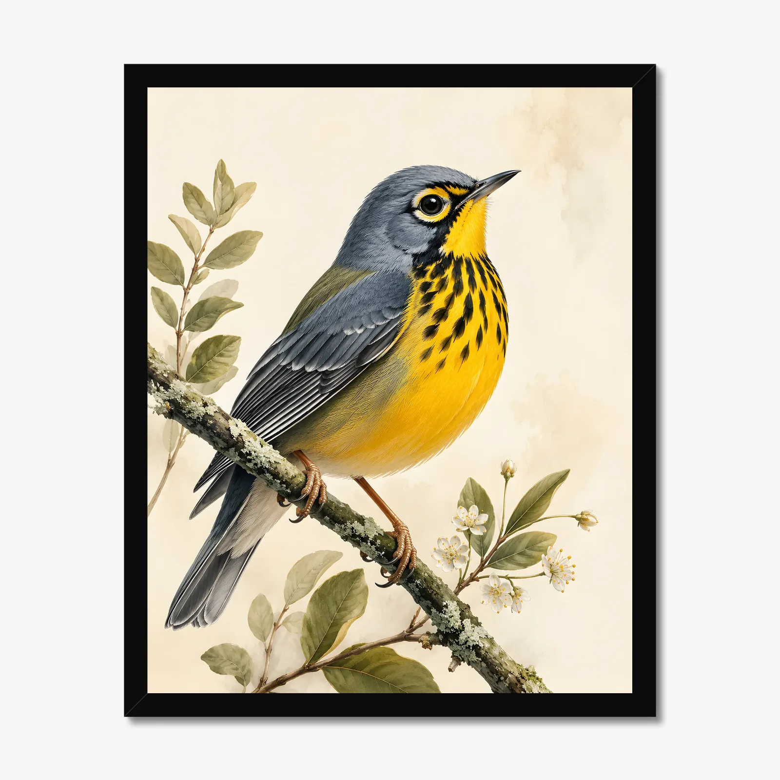 Canada Warbler Print in a black frame