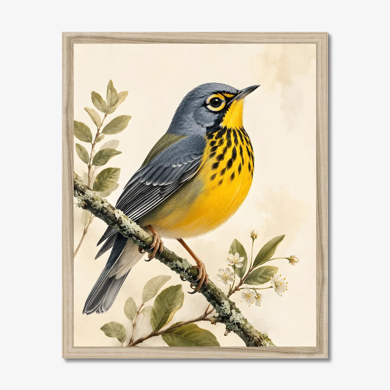 Canada Warbler Print in a natural frame