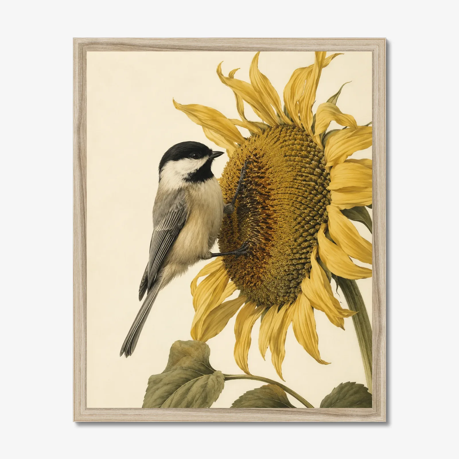 Carolina Chickadee Print in a natural frame