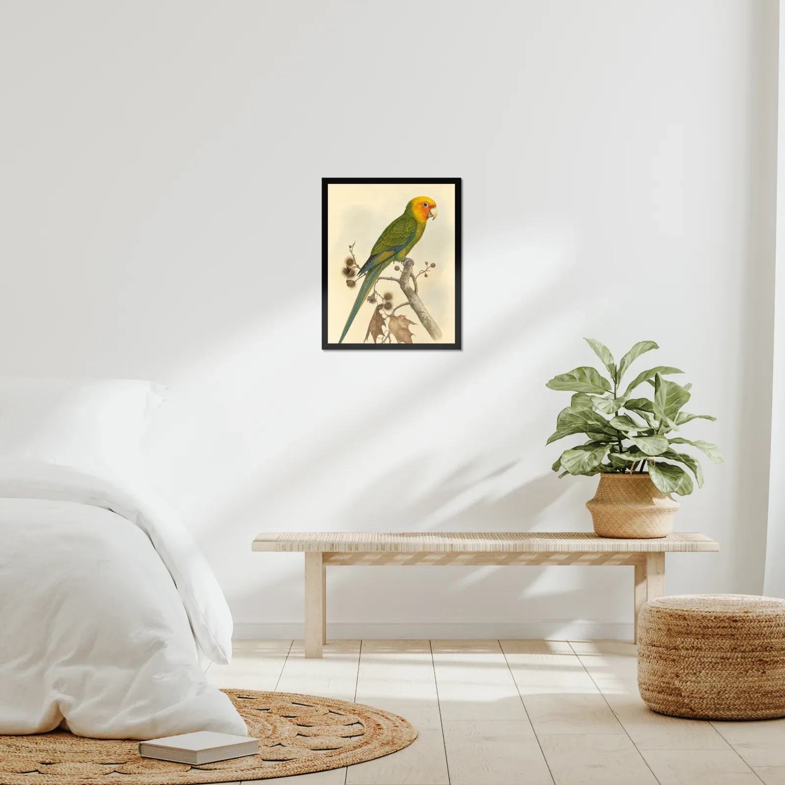 Carolina Parakeet Print framed at 16x20 inches, shown on a wall to scale