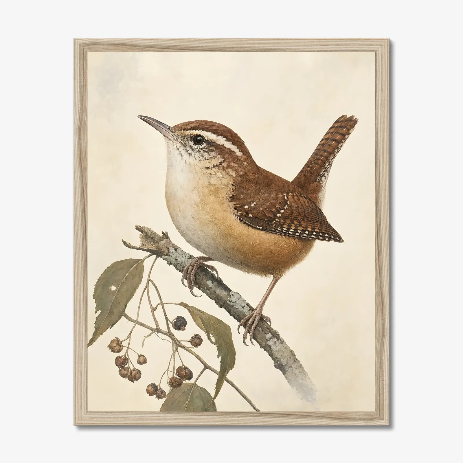 Carolina Wren Print in a natural frame