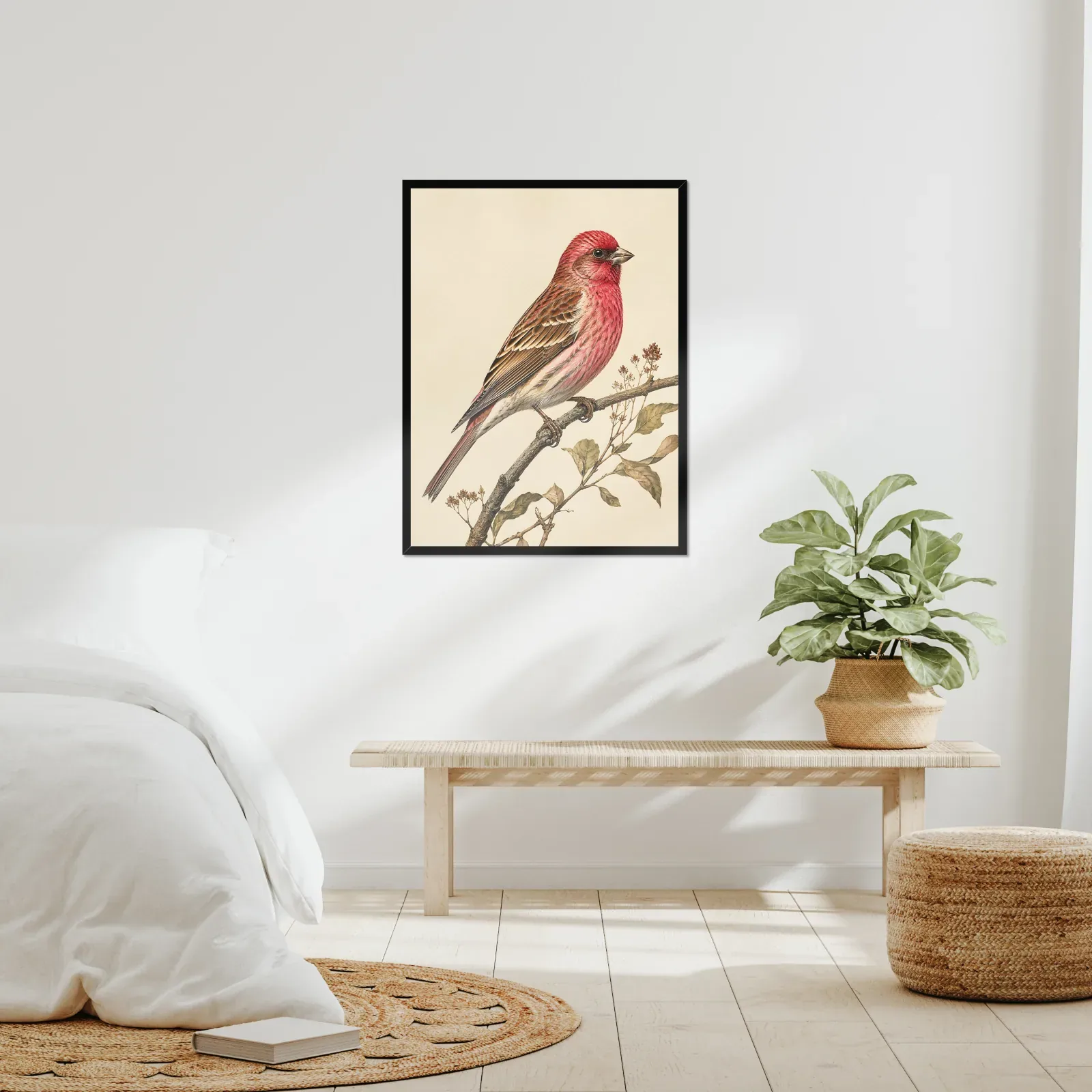 Cassin's Finch Print framed at 24x30 inches, shown on a wall to scale
