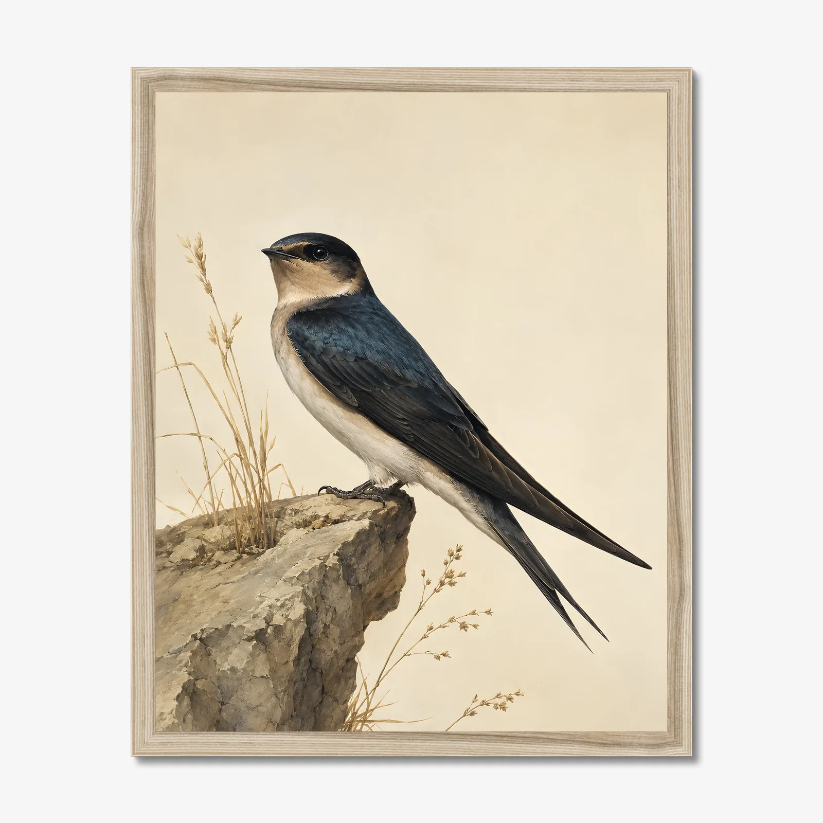 Cave Swallow Print in a natural frame