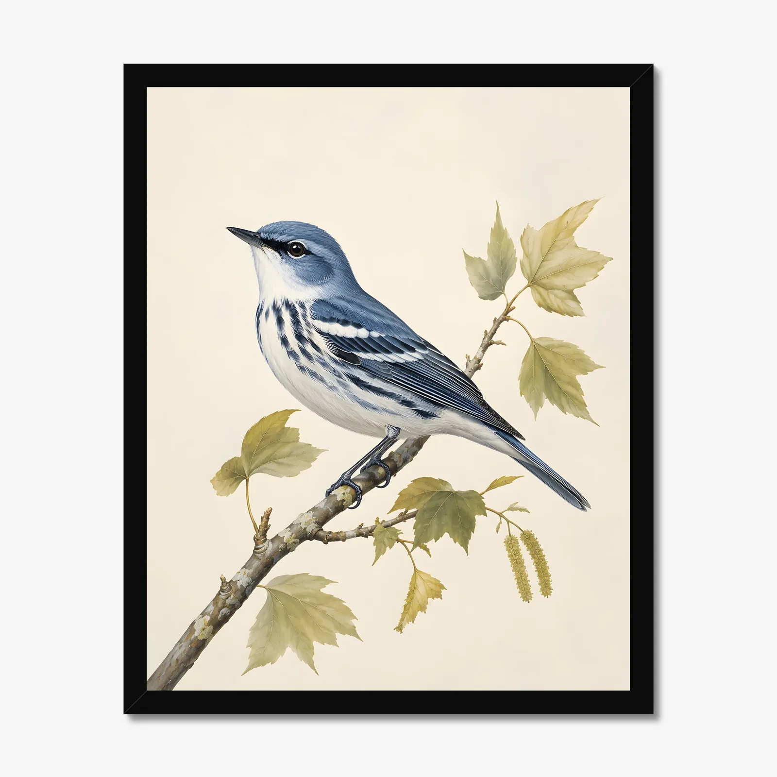 Cerulean Warbler Print in a black frame