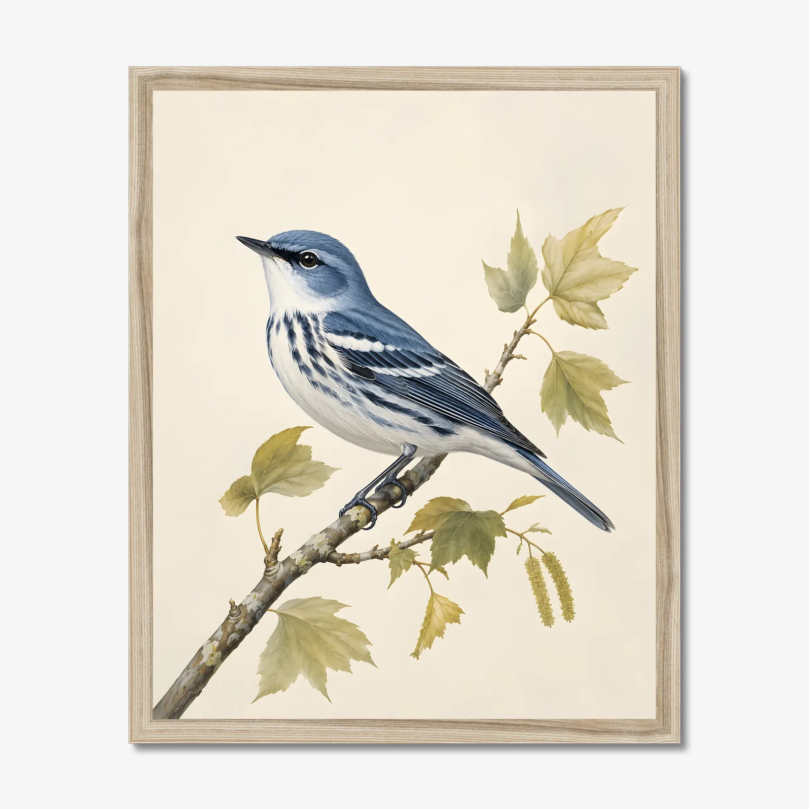 Cerulean Warbler Print in a natural frame