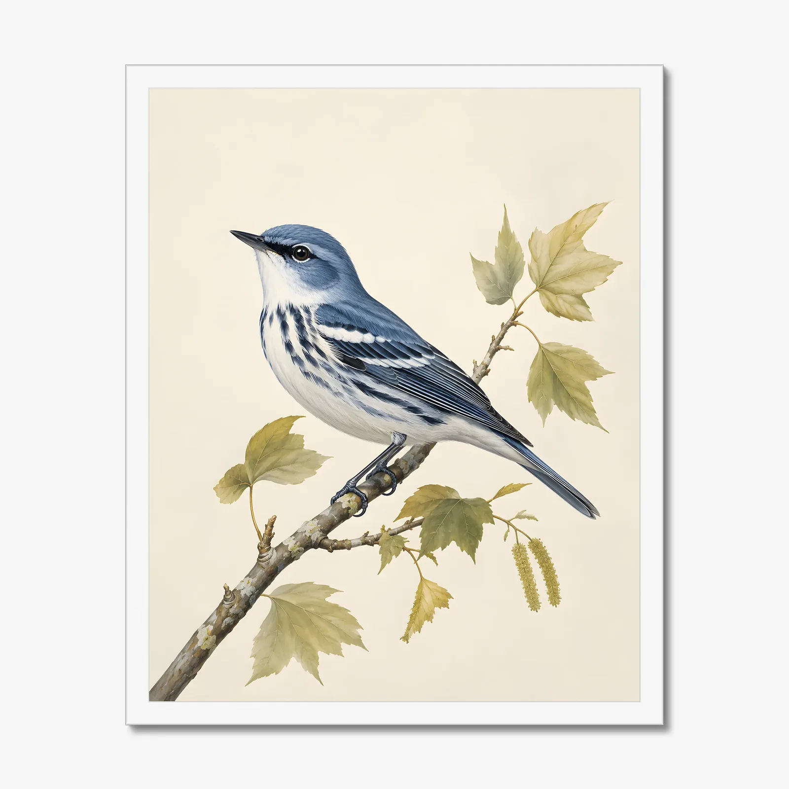 Cerulean Warbler Print in a white frame