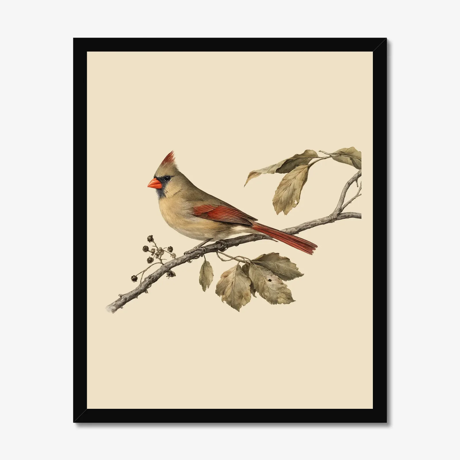Christmas Cardinal Pair in a black frame