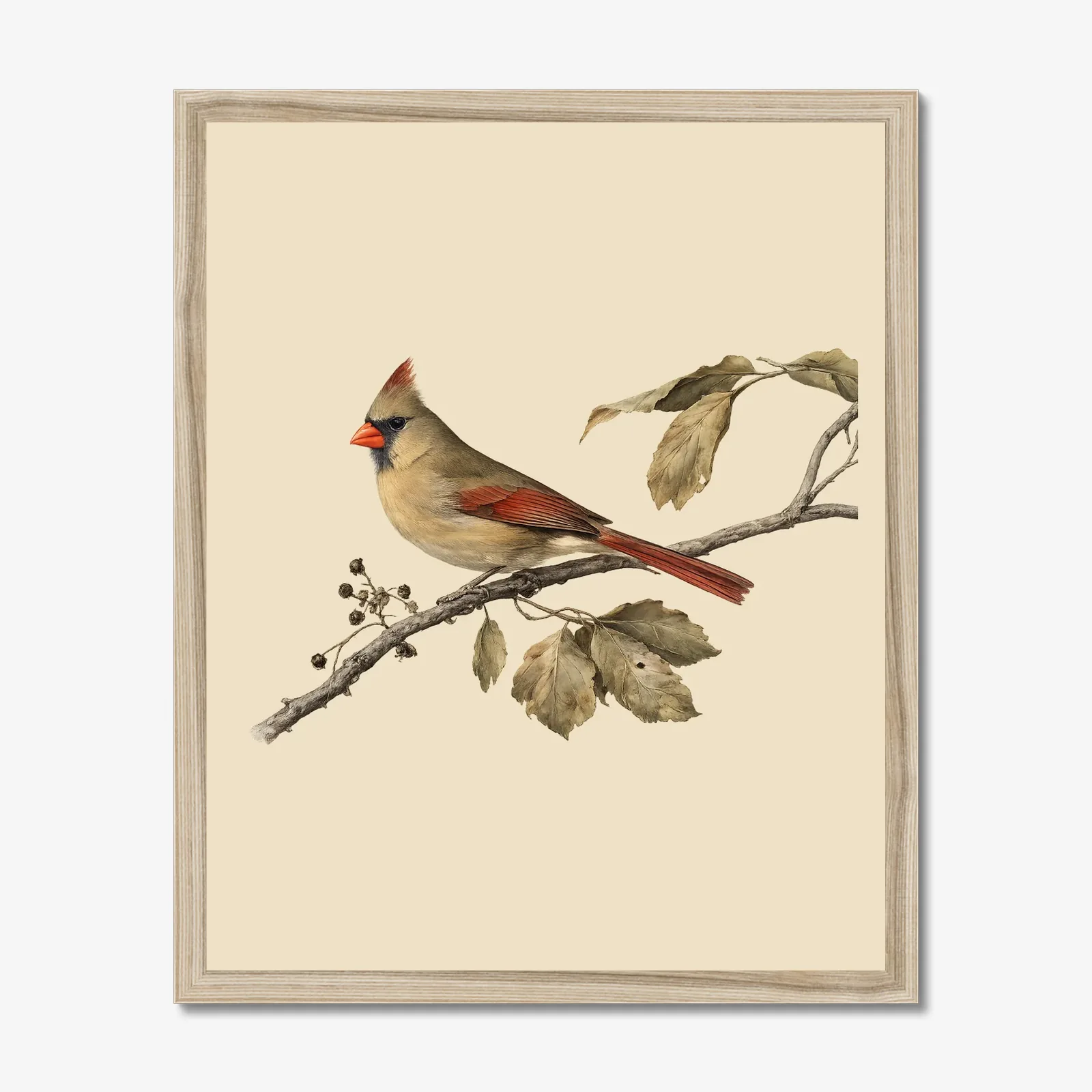 Christmas Cardinal Pair shown as a fine-art print