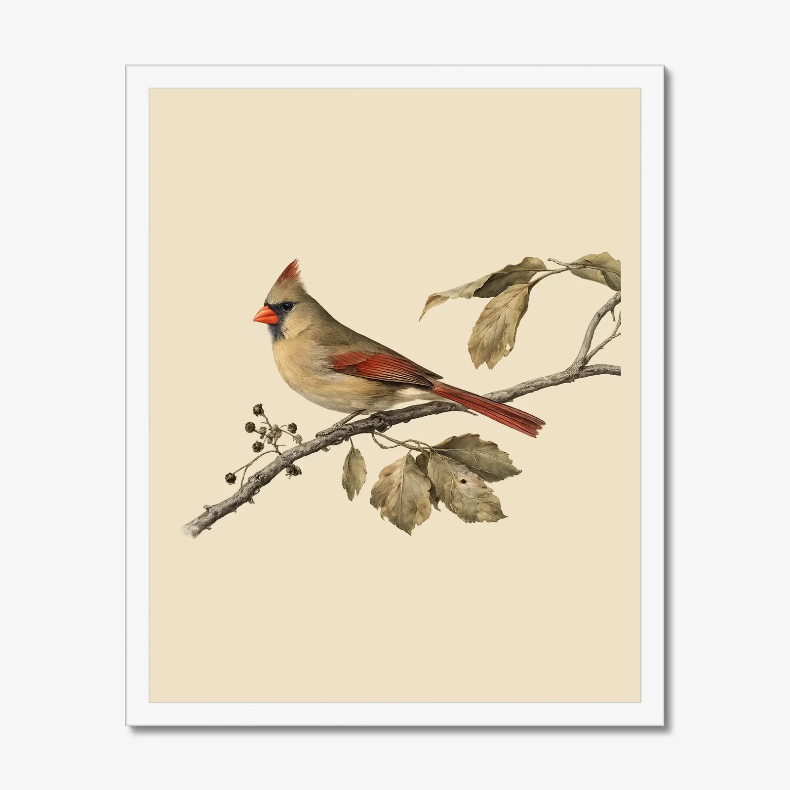 Christmas Cardinal Pair in a white frame