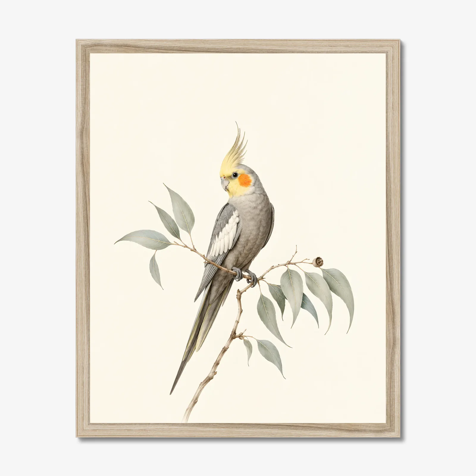 Cockatiel Print in a natural frame