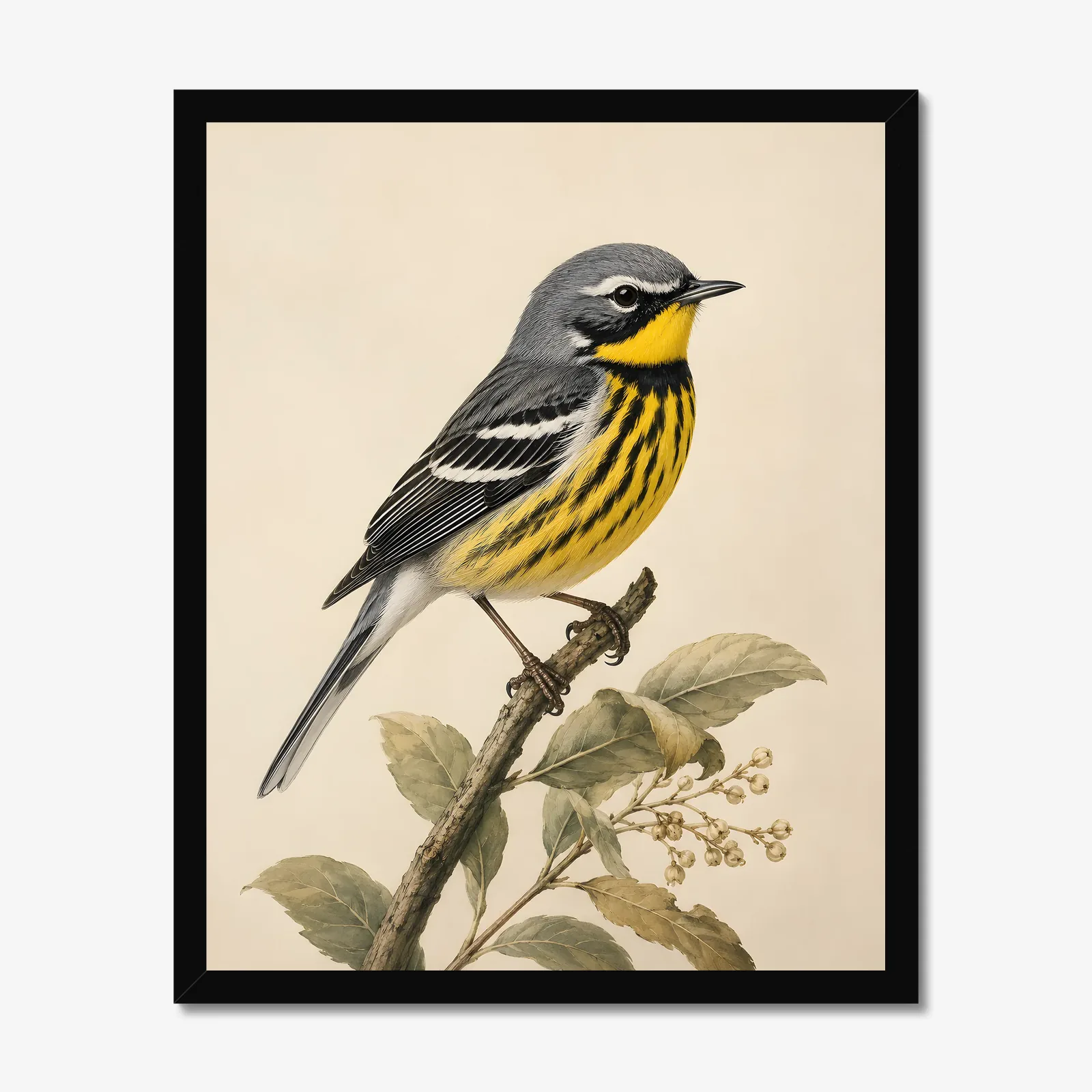 Colima Warbler Print in a black frame