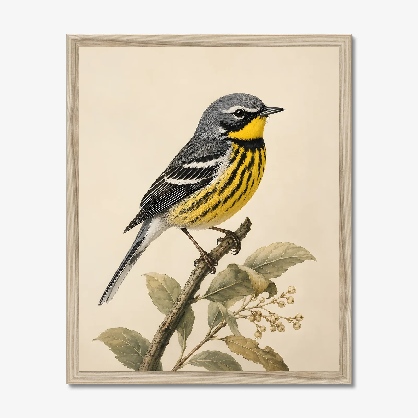 Colima Warbler Print in a natural frame