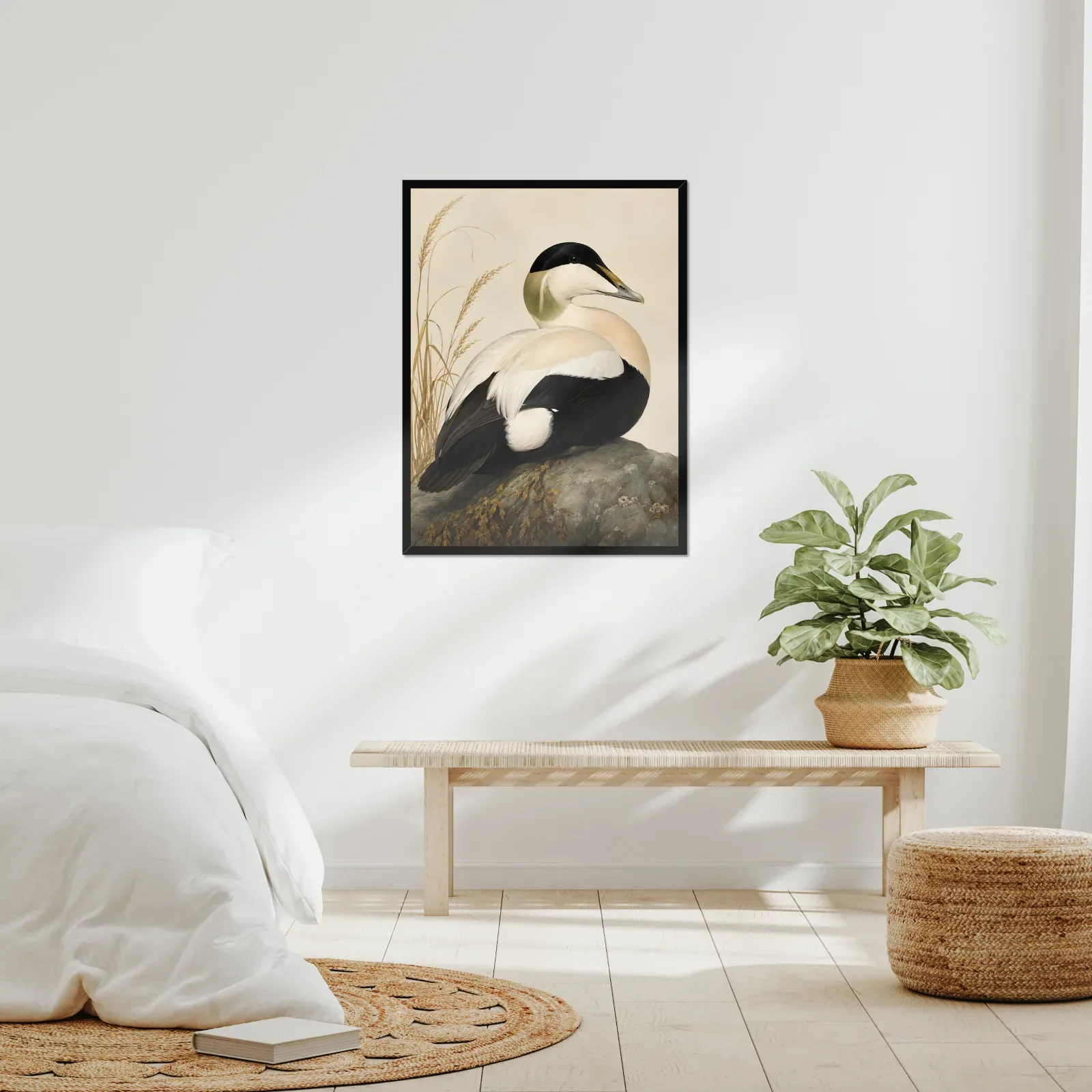 Common Eider Print framed at 24x30 inches, shown on a wall to scale