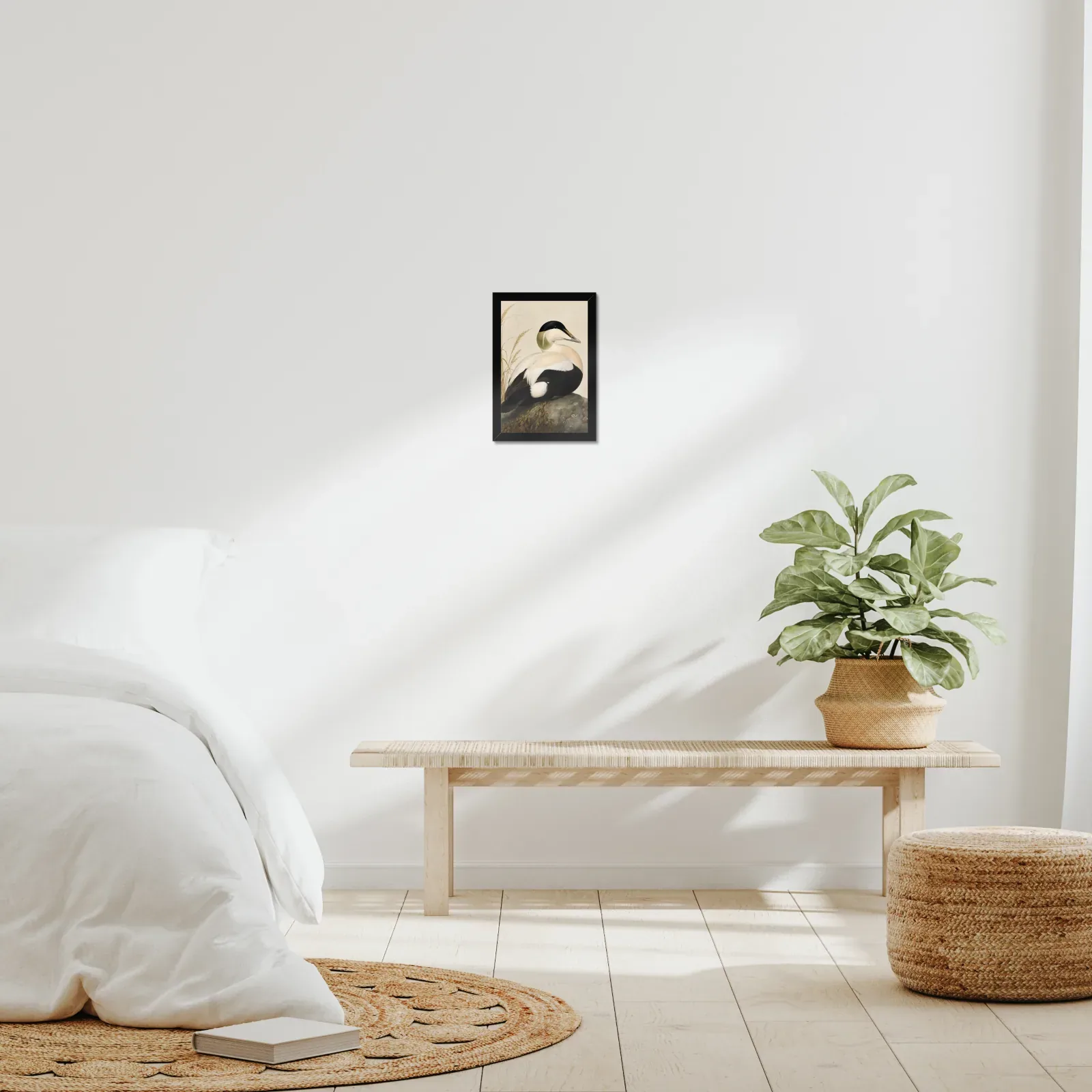 Common Eider Print framed at 8x10 inches, shown on a wall to scale