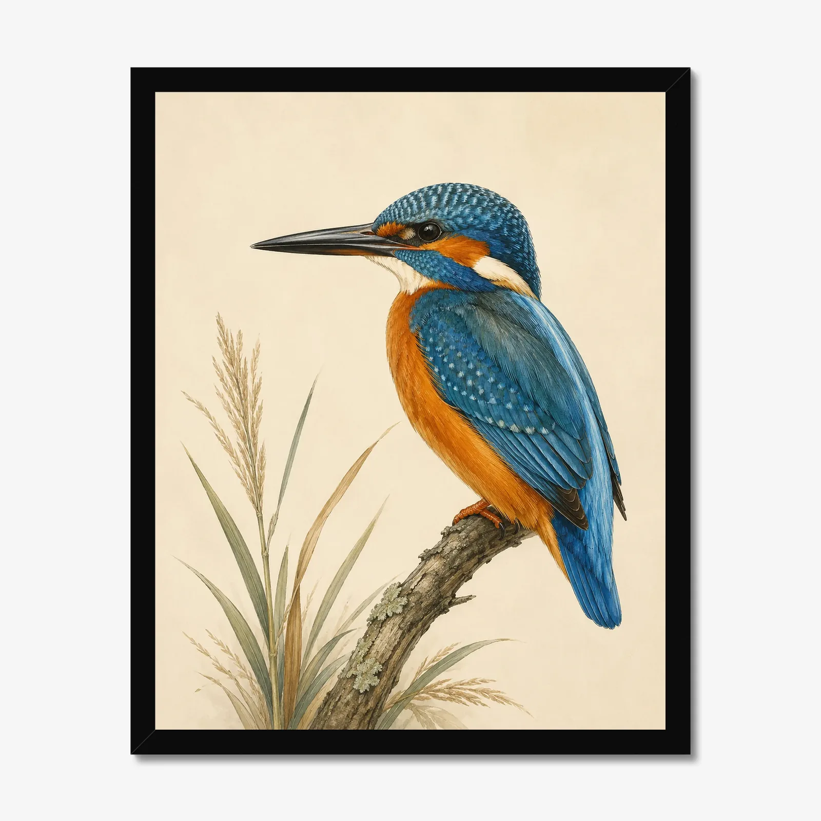 Common Kingfisher Print in a black frame