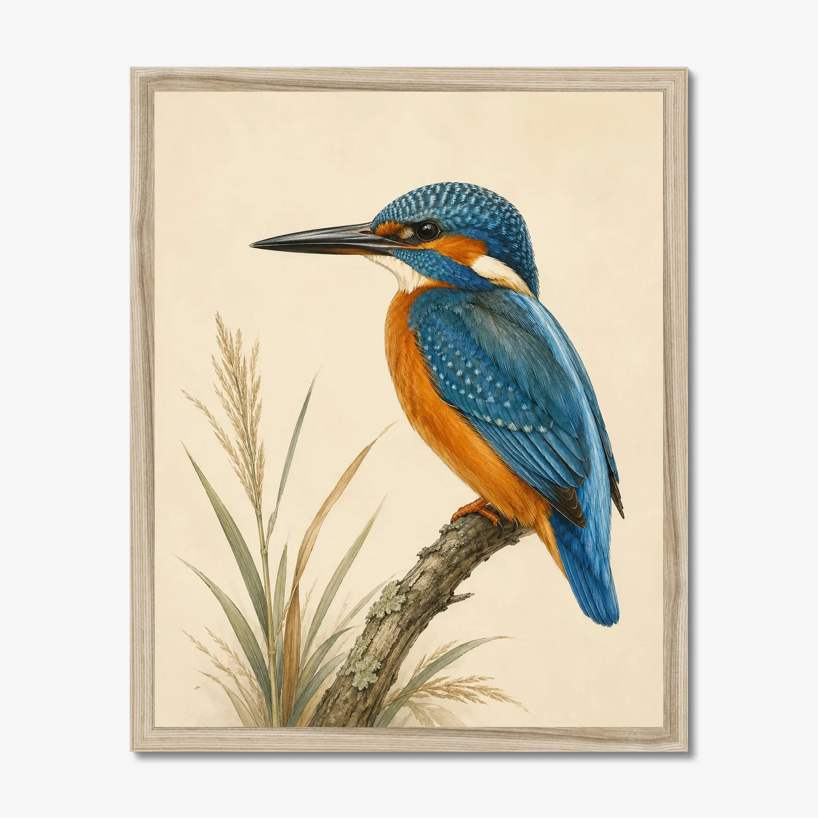 Common Kingfisher Print in a natural frame