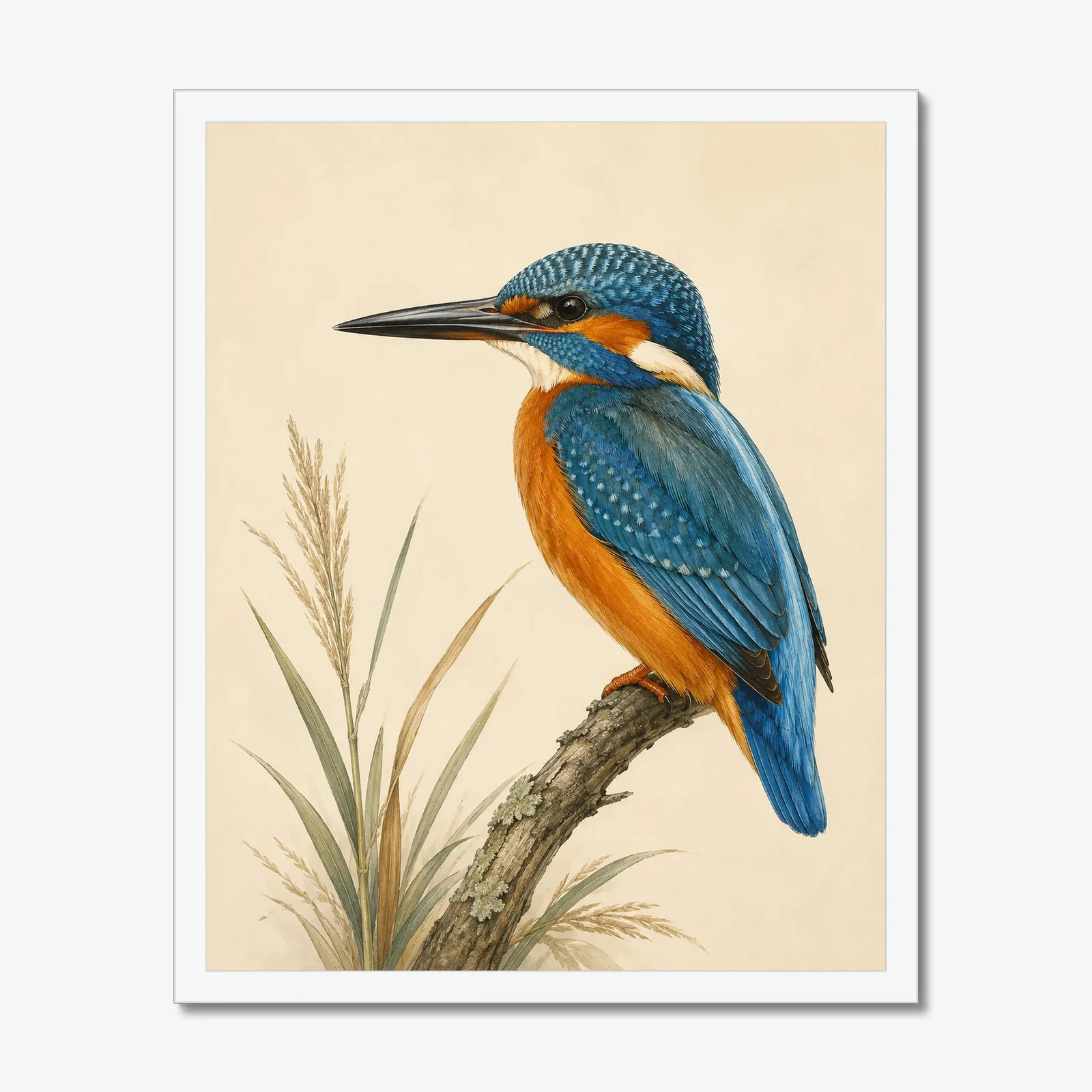 Common Kingfisher Print in a white frame