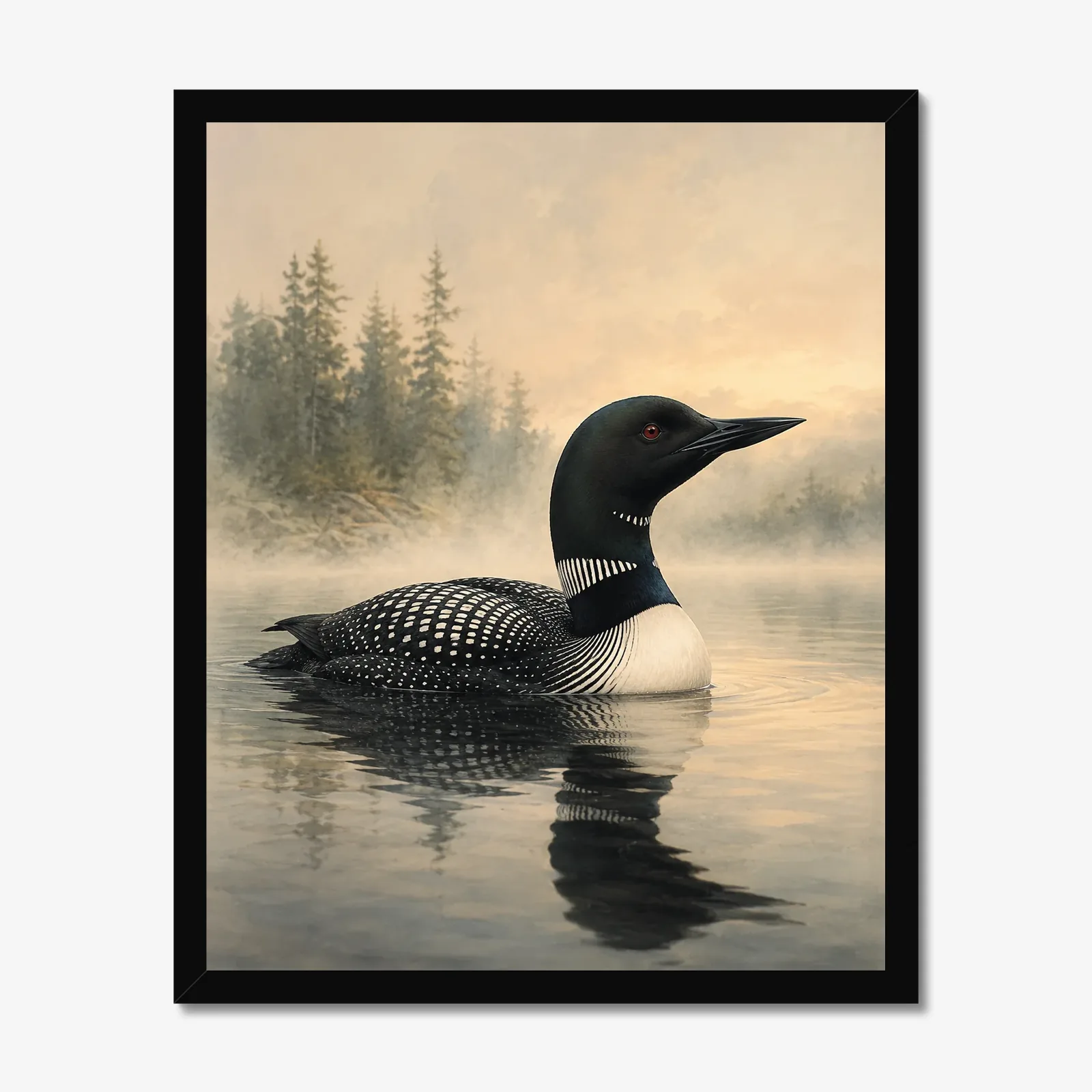 Common Loon Print in a black frame