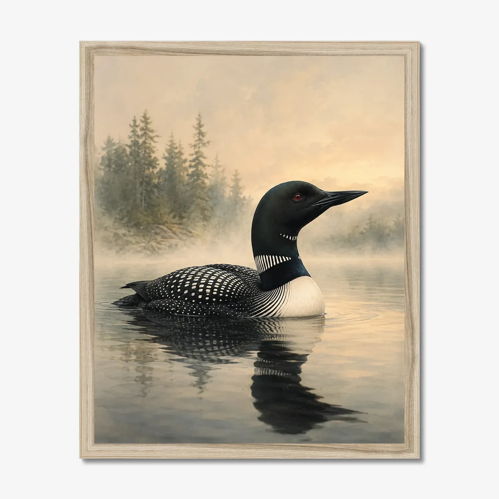 Common Loon Print shown as a fine-art print