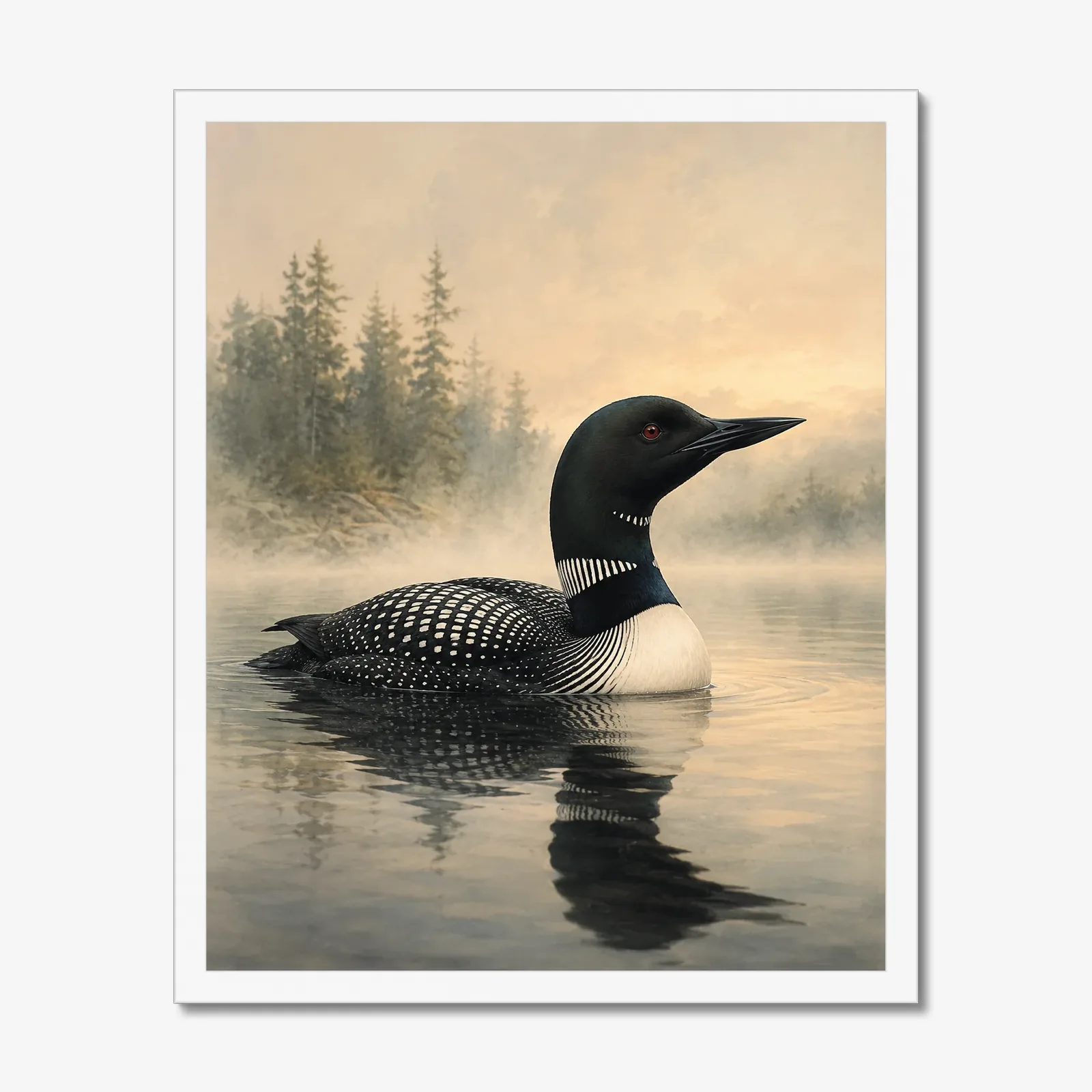 Common Loon Print in a white frame