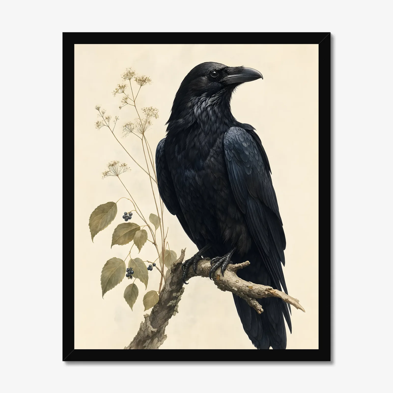 Common Raven Print in a black frame
