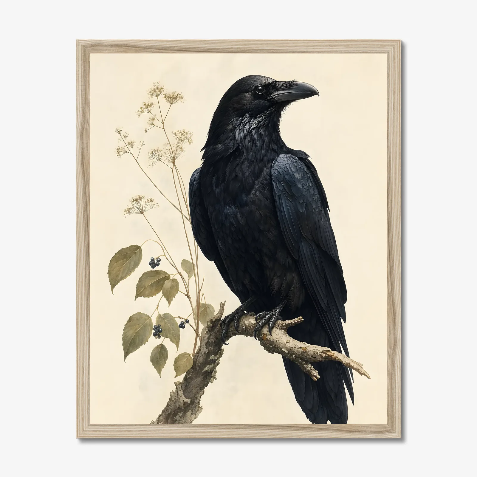Common Raven Print in a natural frame