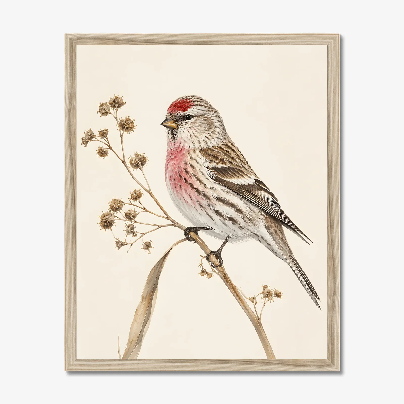 Common Redpoll Print in a natural frame