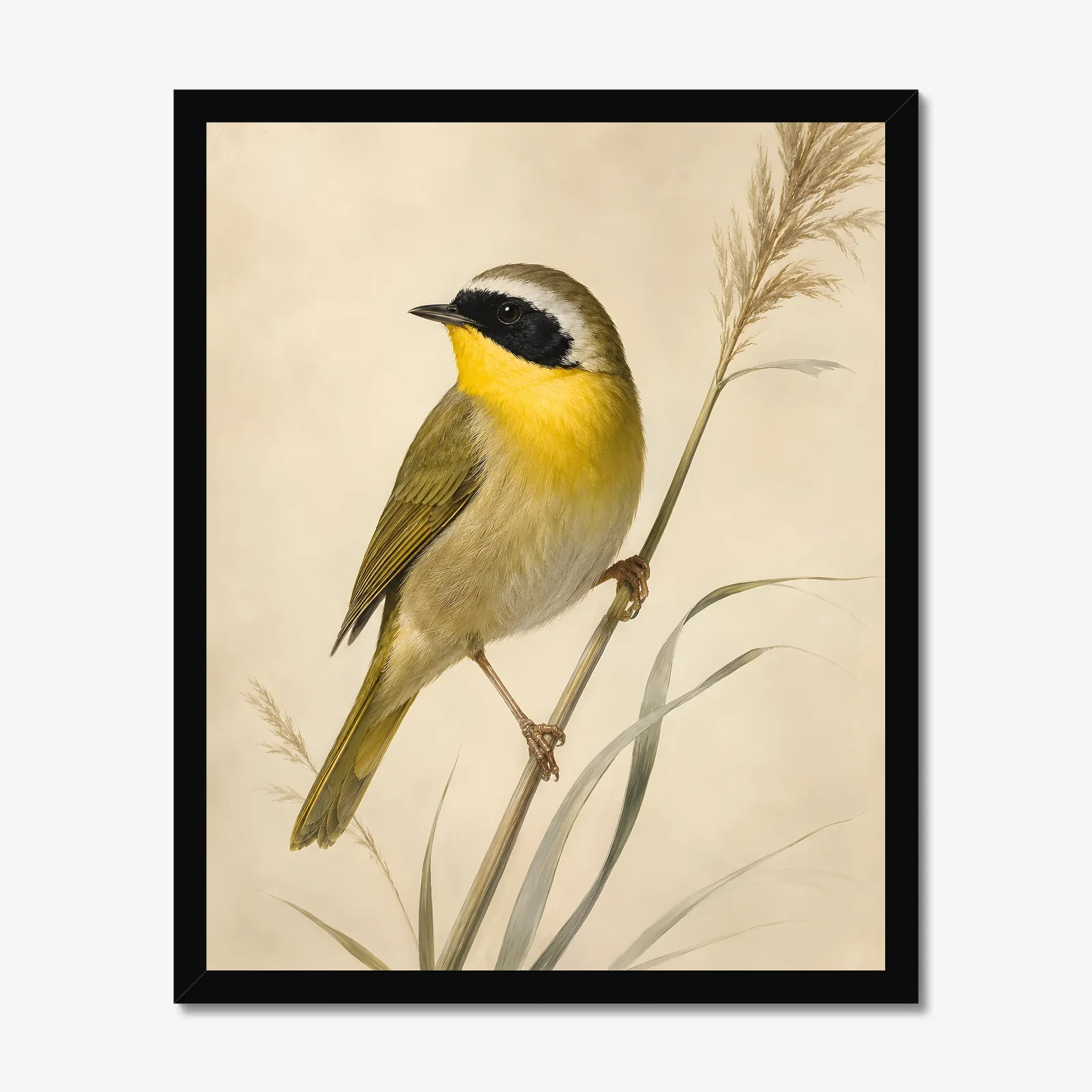 Common Yellowthroat Print in a black frame