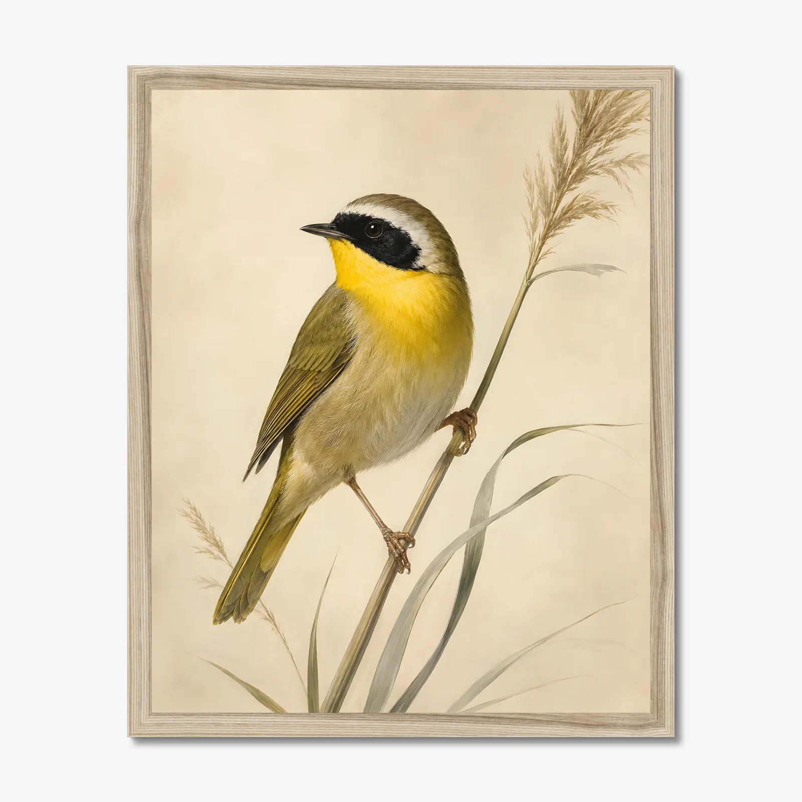 Common Yellowthroat Print in a natural frame