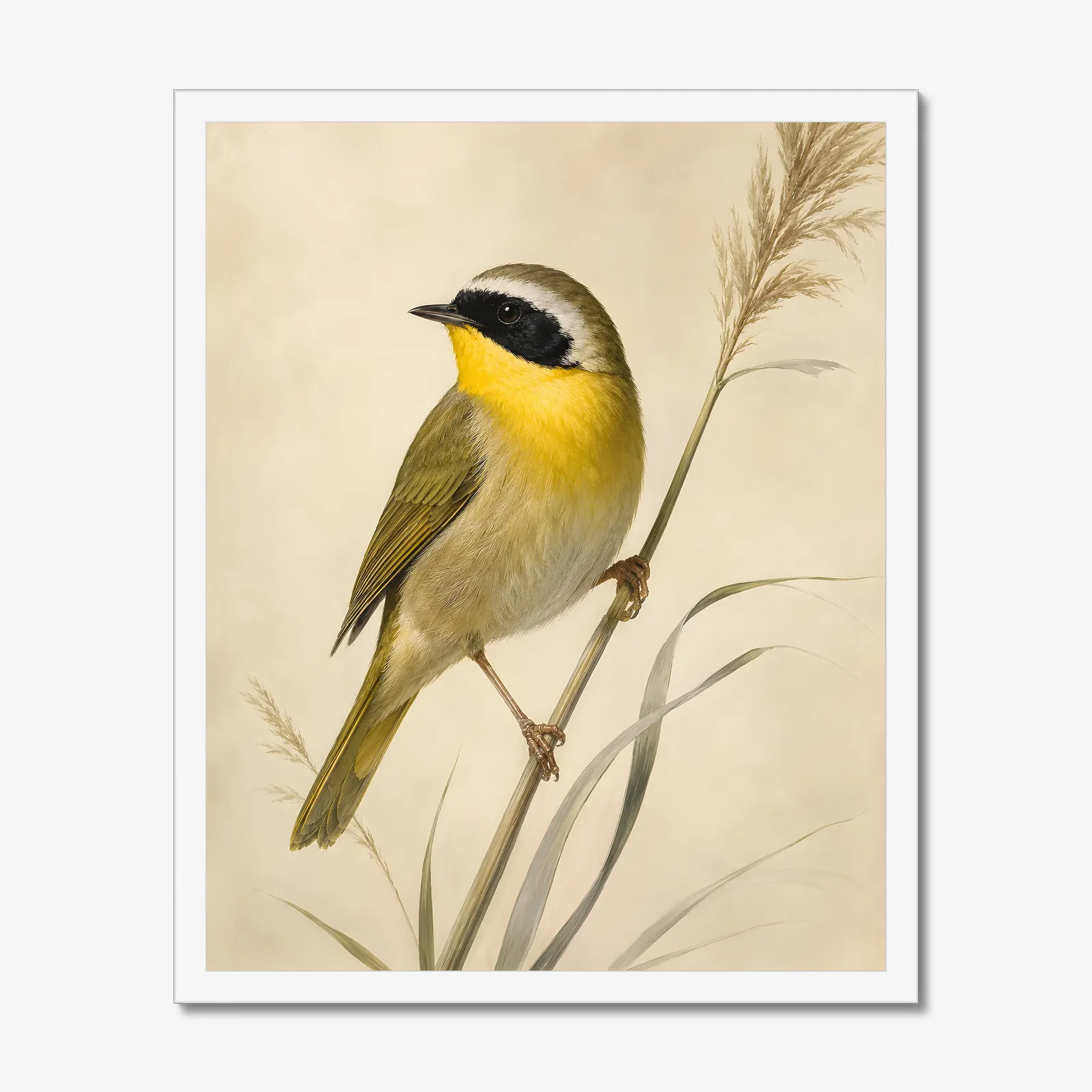 Common Yellowthroat Print in a white frame