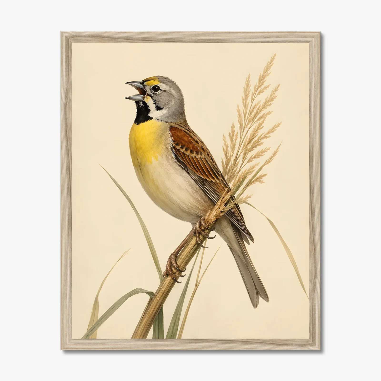 Dickcissel Print - Prairie Songbird Wall Art in a natural frame