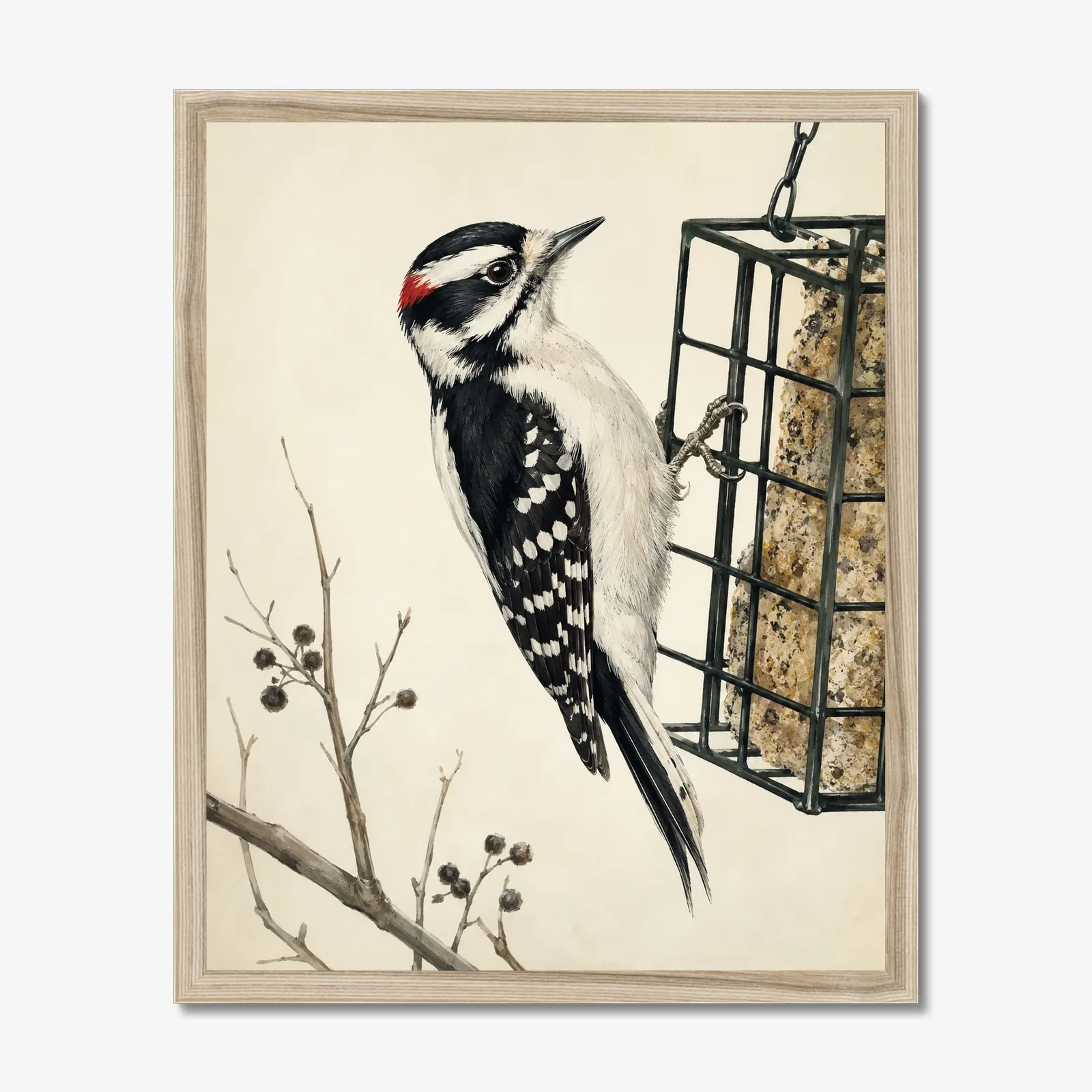 Downy Woodpecker Print shown as a fine-art print
