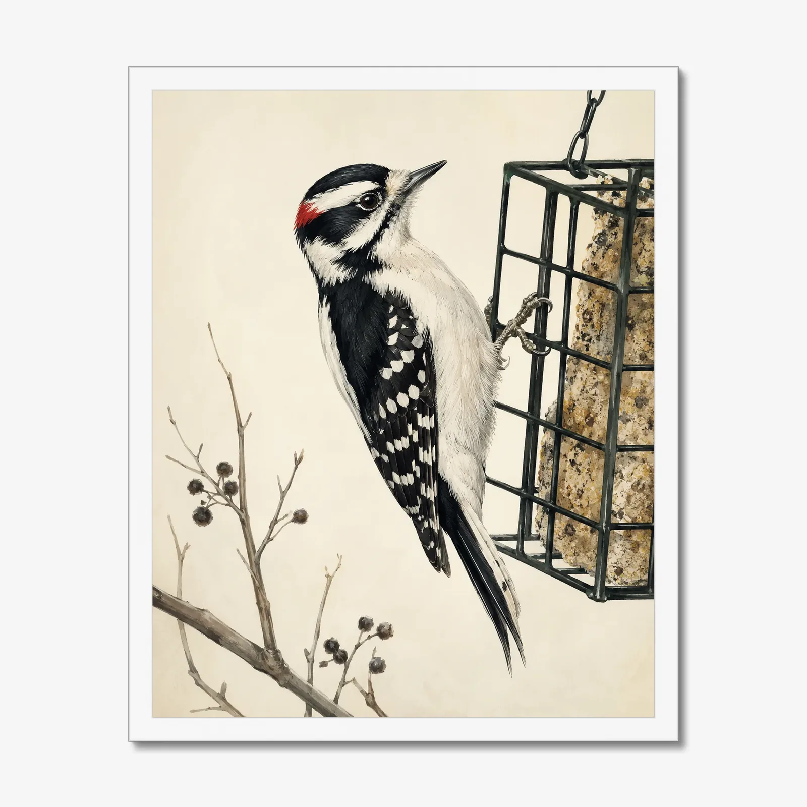 Downy Woodpecker Print in a white frame