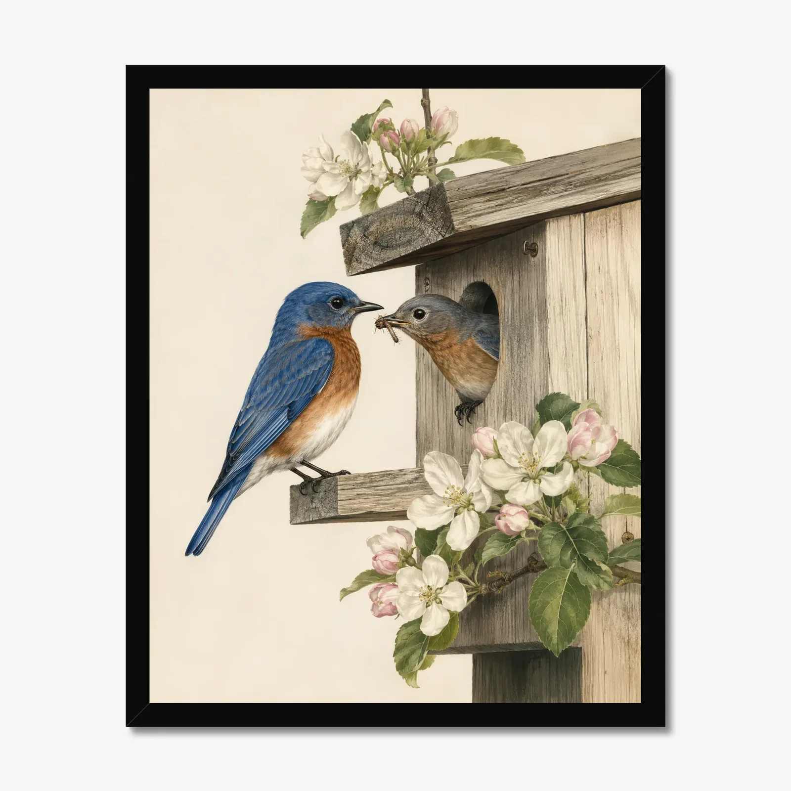 Eastern Bluebird Print - Pair at Nest in a black frame