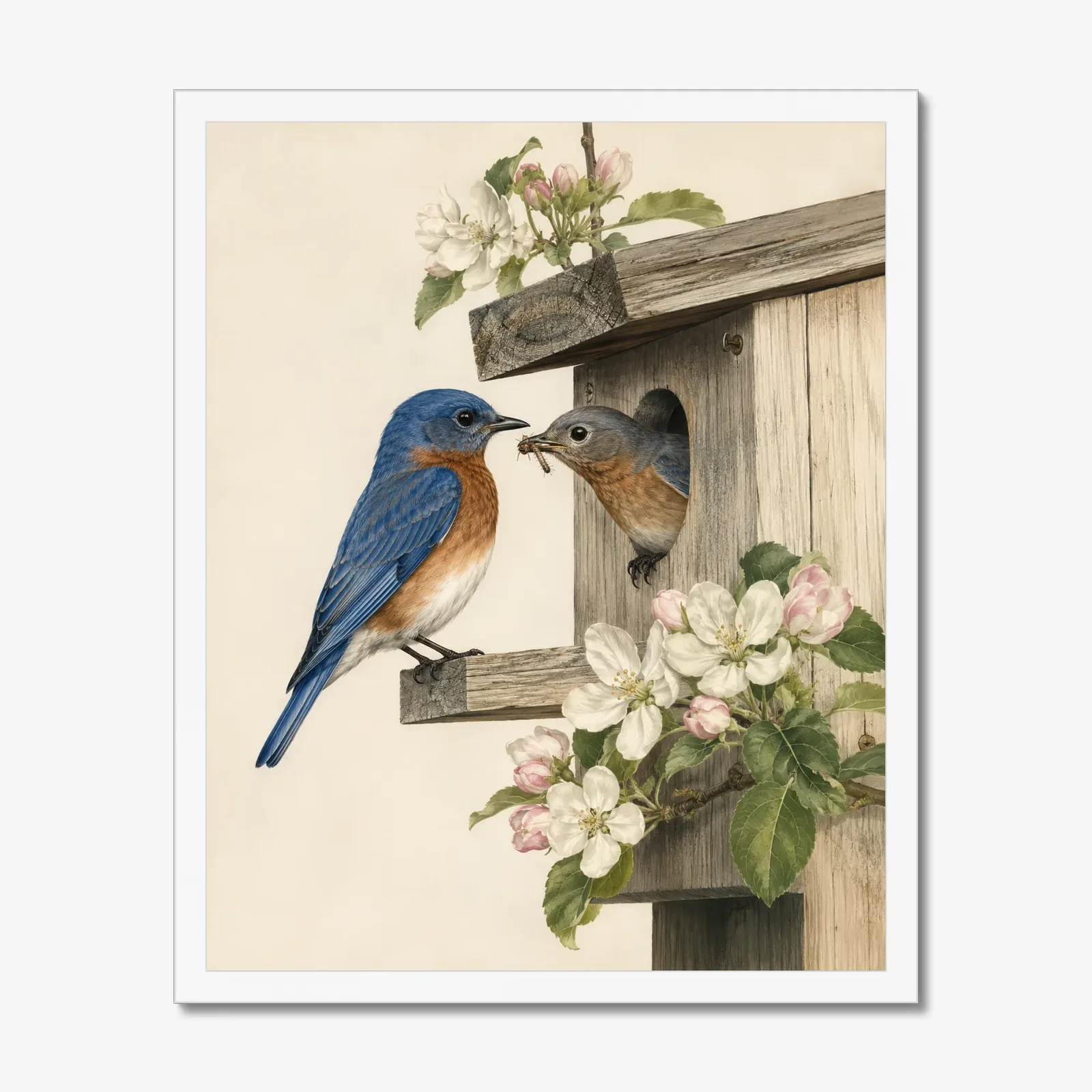 Eastern Bluebird Print - Pair at Nest in a white frame