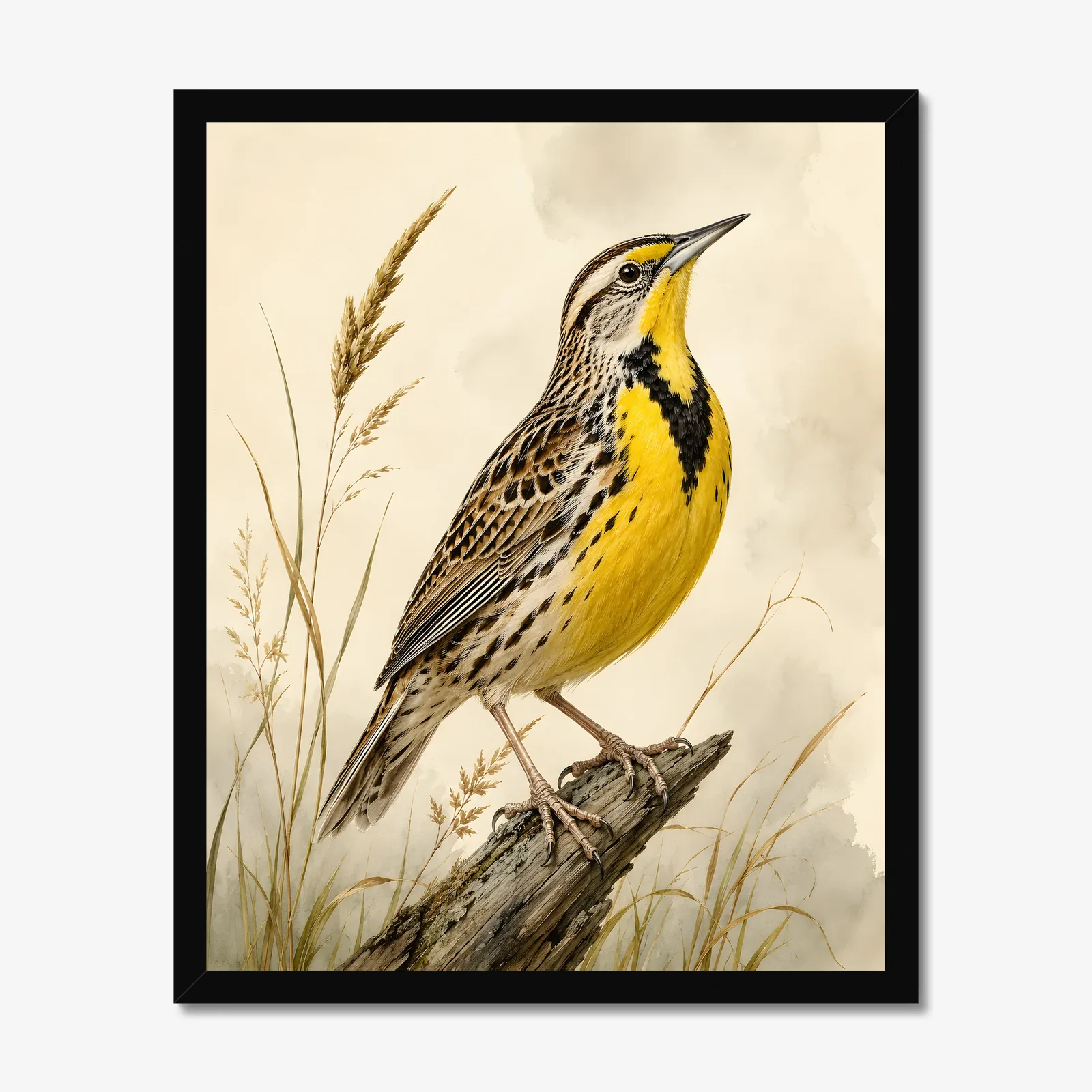 Eastern Meadowlark Print in a black frame