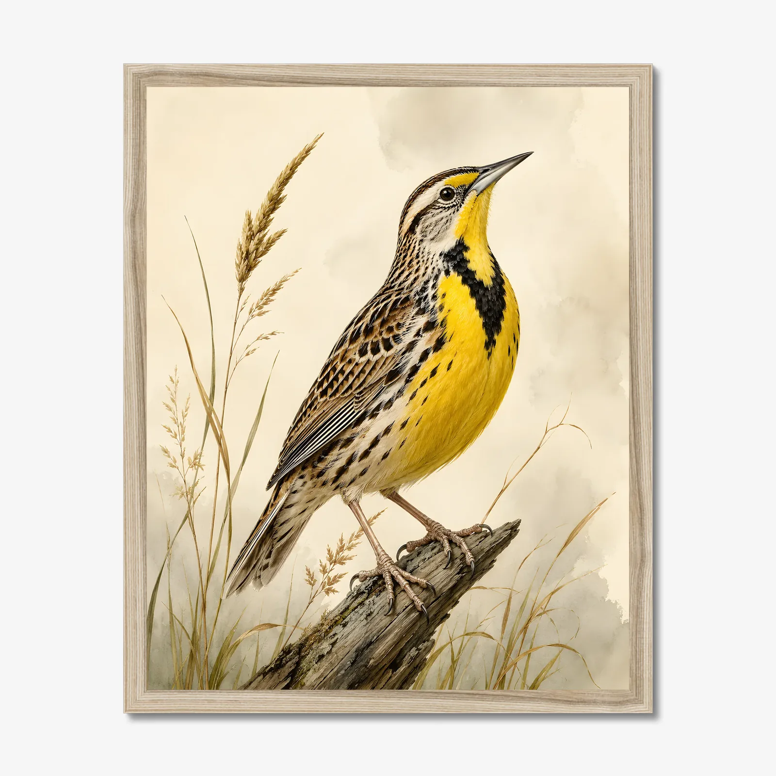 Eastern Meadowlark Print in a natural frame