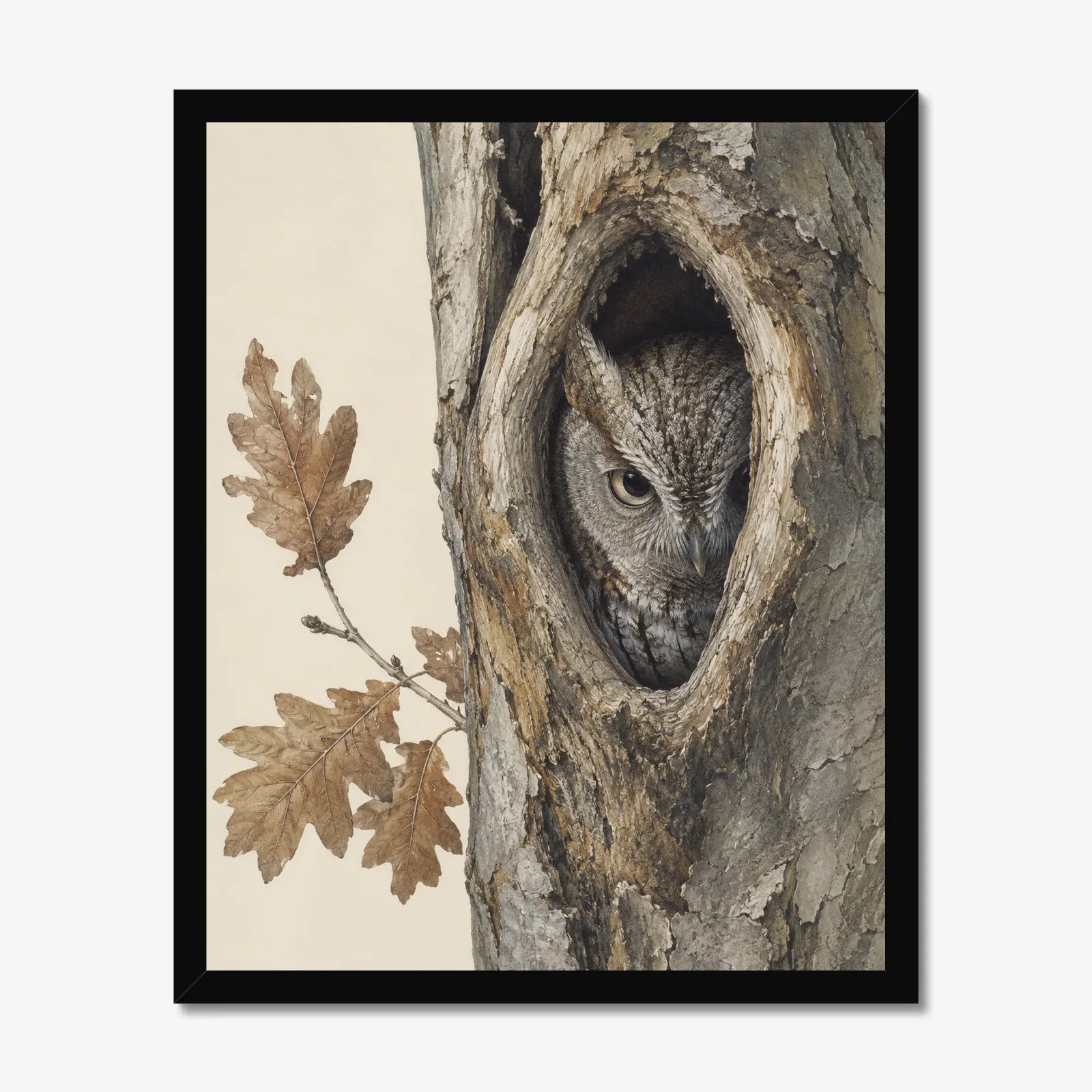 Eastern Screech-Owl Print in a black frame