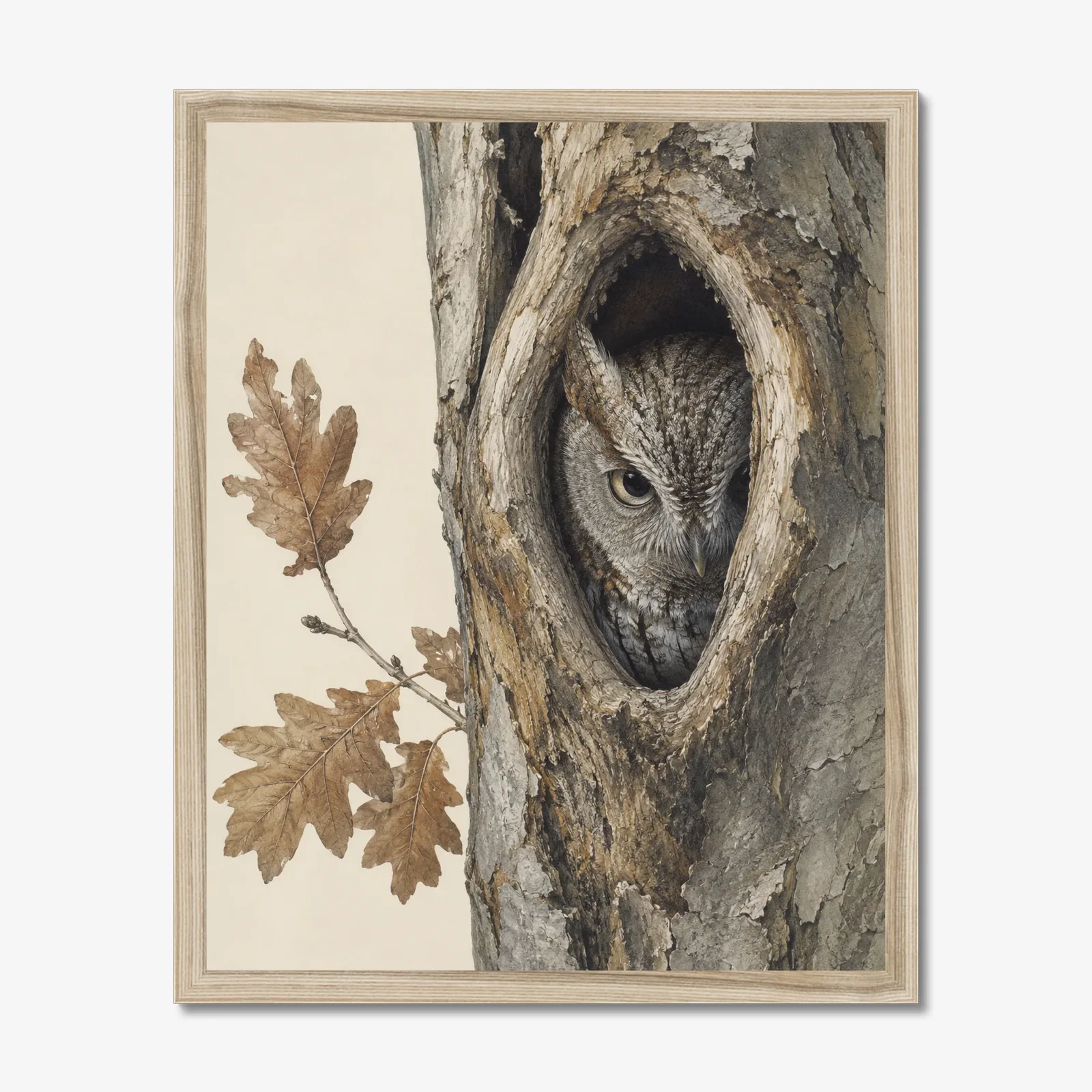 Eastern Screech-Owl Print in a natural frame