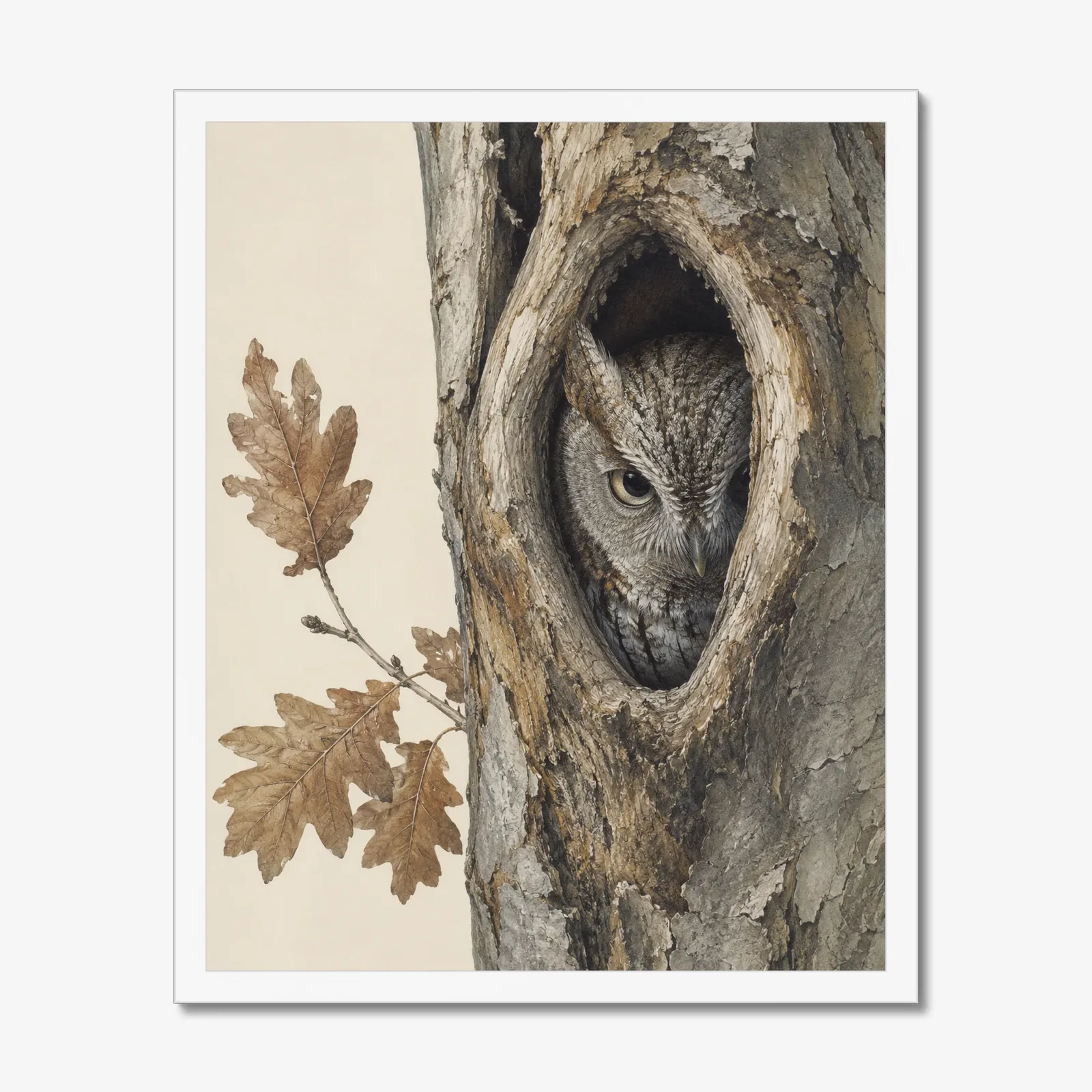 Eastern Screech-Owl Print in a white frame