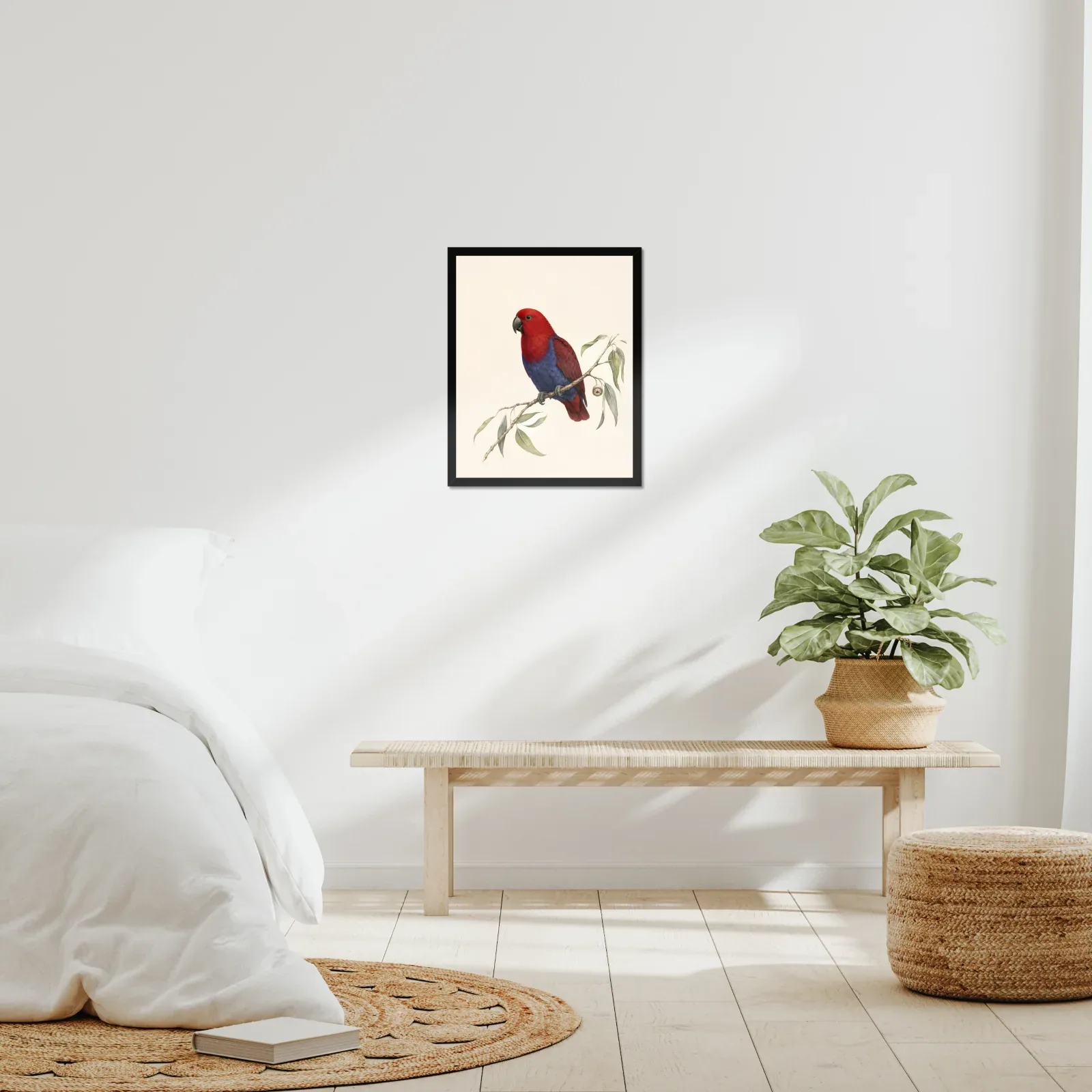 Eclectus Parrot Print framed at 16x20 inches, shown on a wall to scale