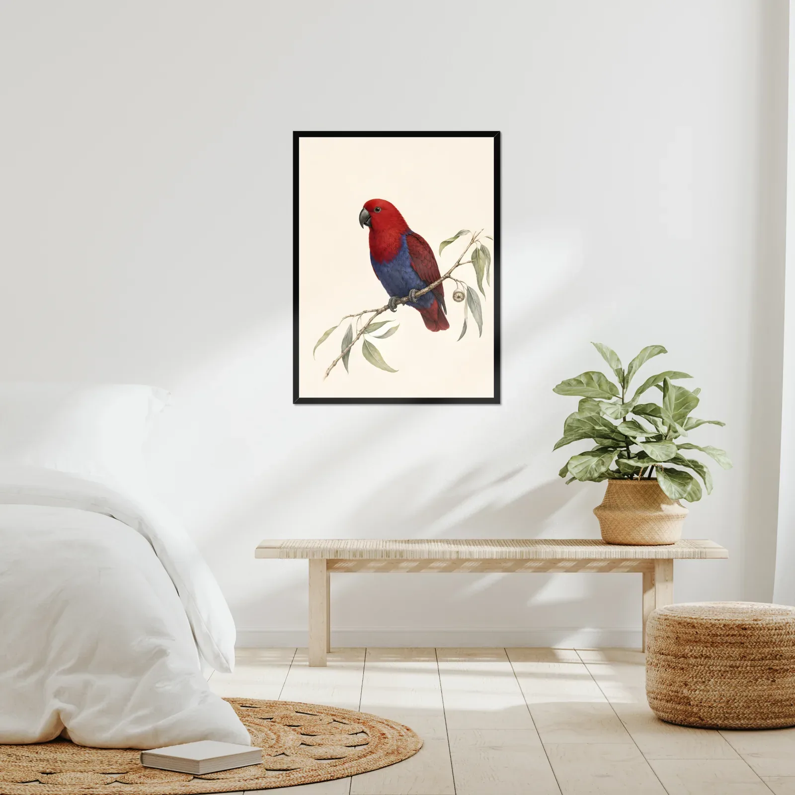Eclectus Parrot Print framed at 24x30 inches, shown on a wall to scale