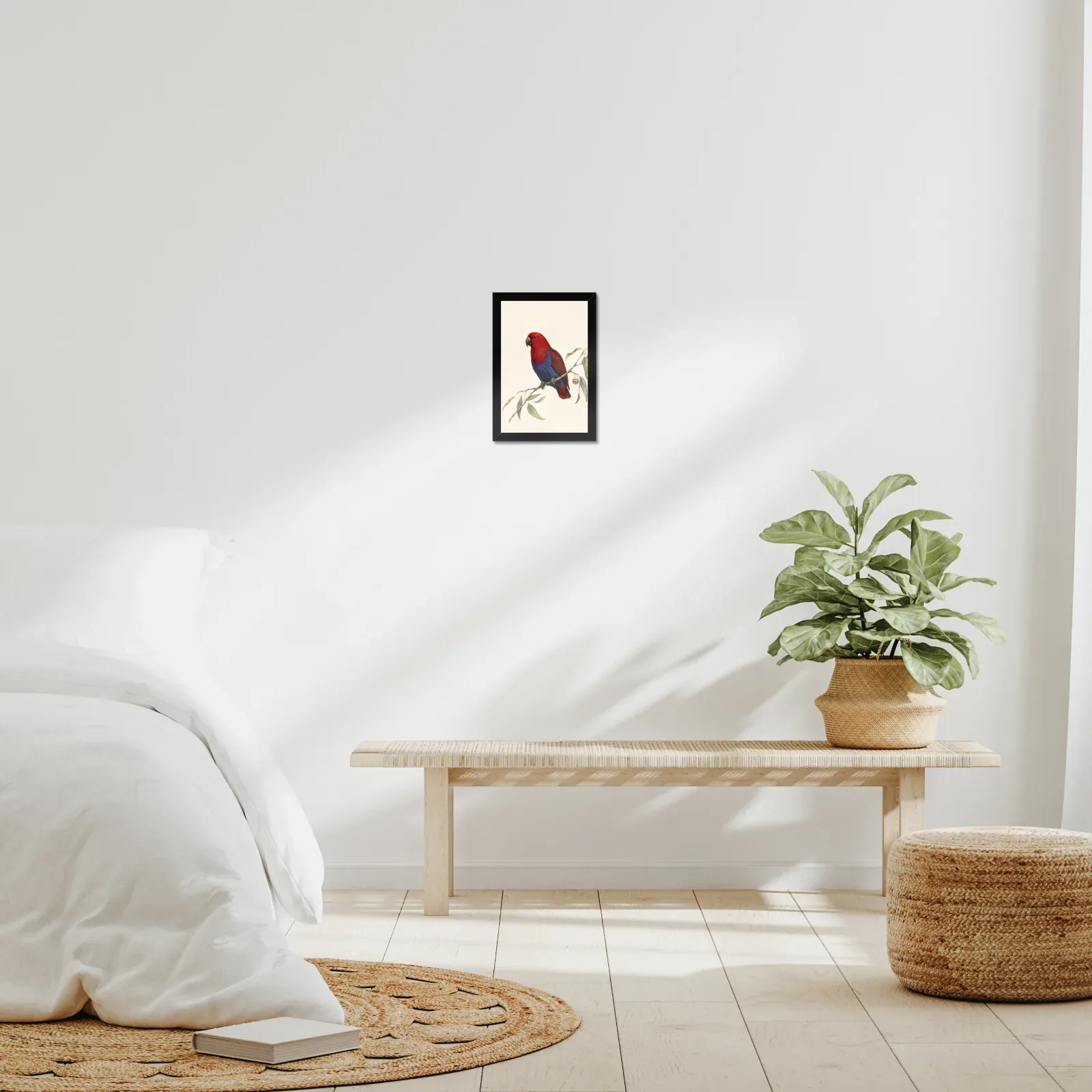 Eclectus Parrot Print framed at 8x10 inches, shown on a wall to scale