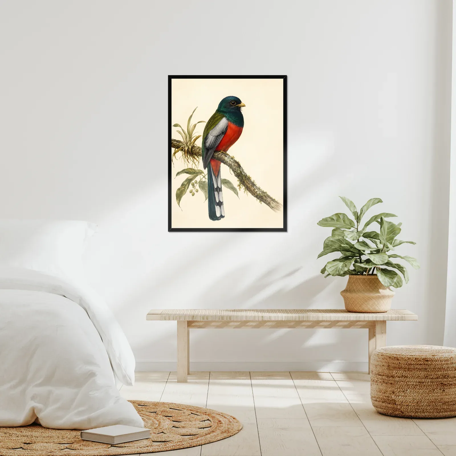 Elegant Trogon Print framed at 24x30 inches, shown on a wall to scale