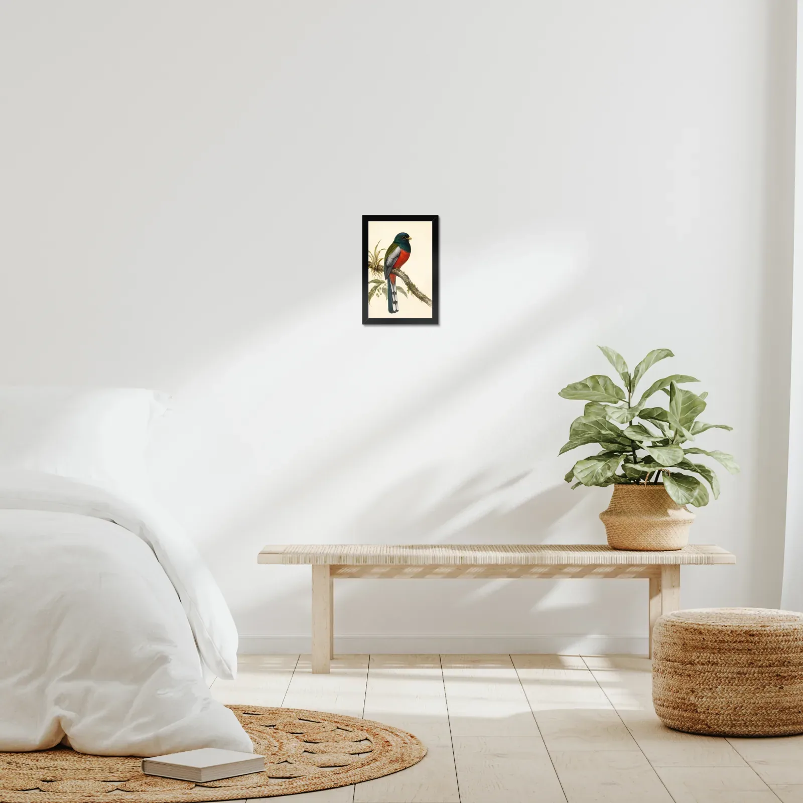 Elegant Trogon Print framed at 8x10 inches, shown on a wall to scale
