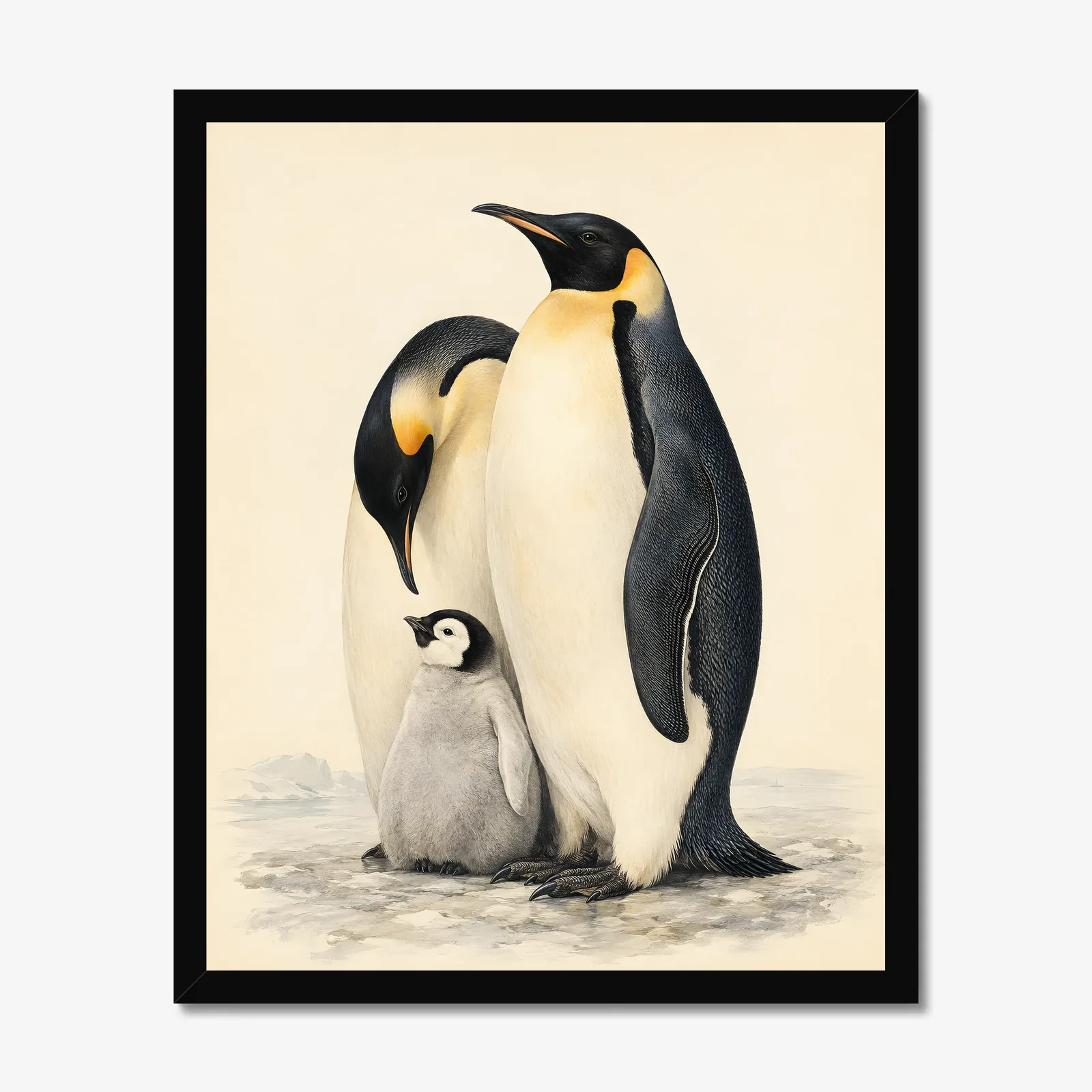Emperor Penguin Family Print in a black frame