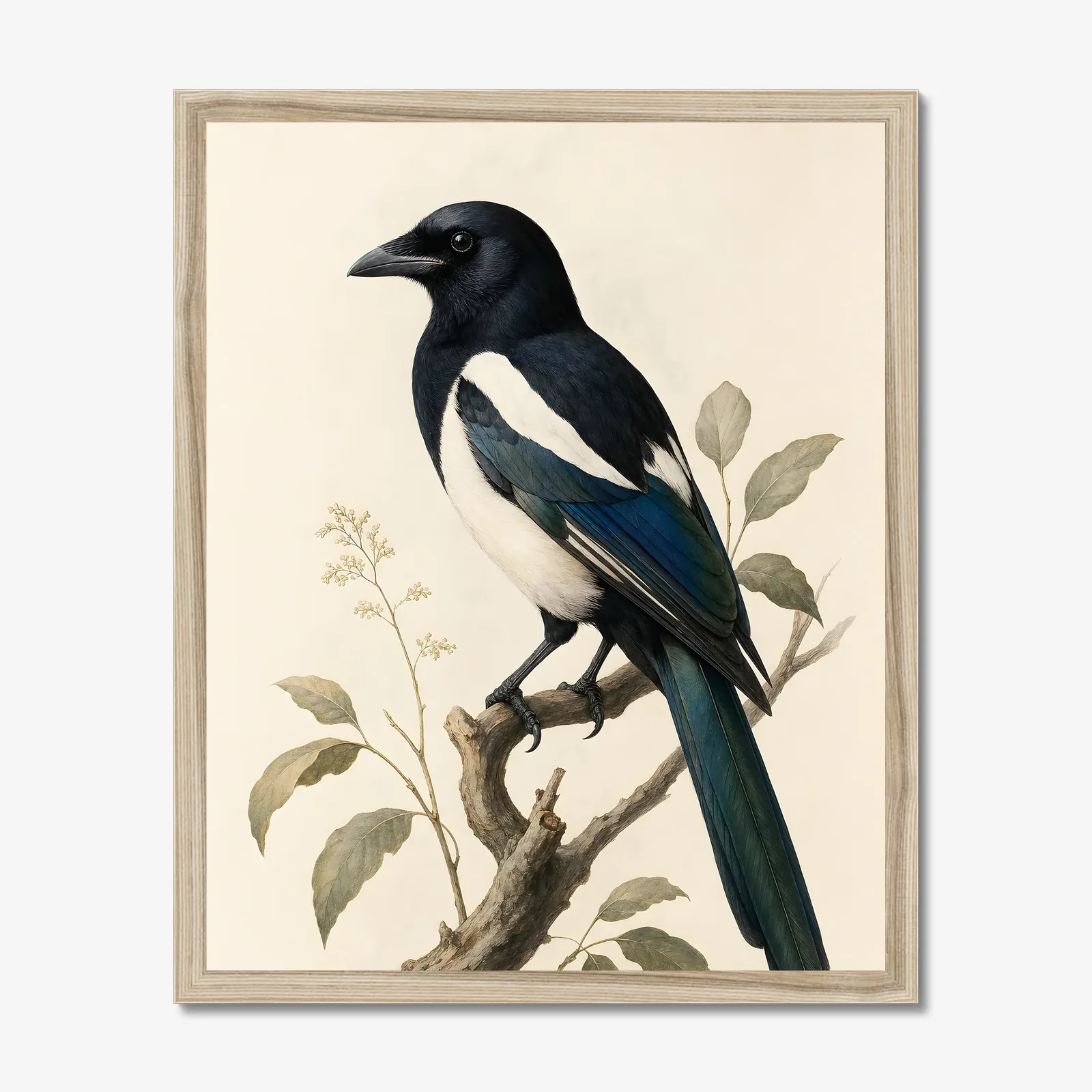 Eurasian Magpie Print shown as a fine-art print