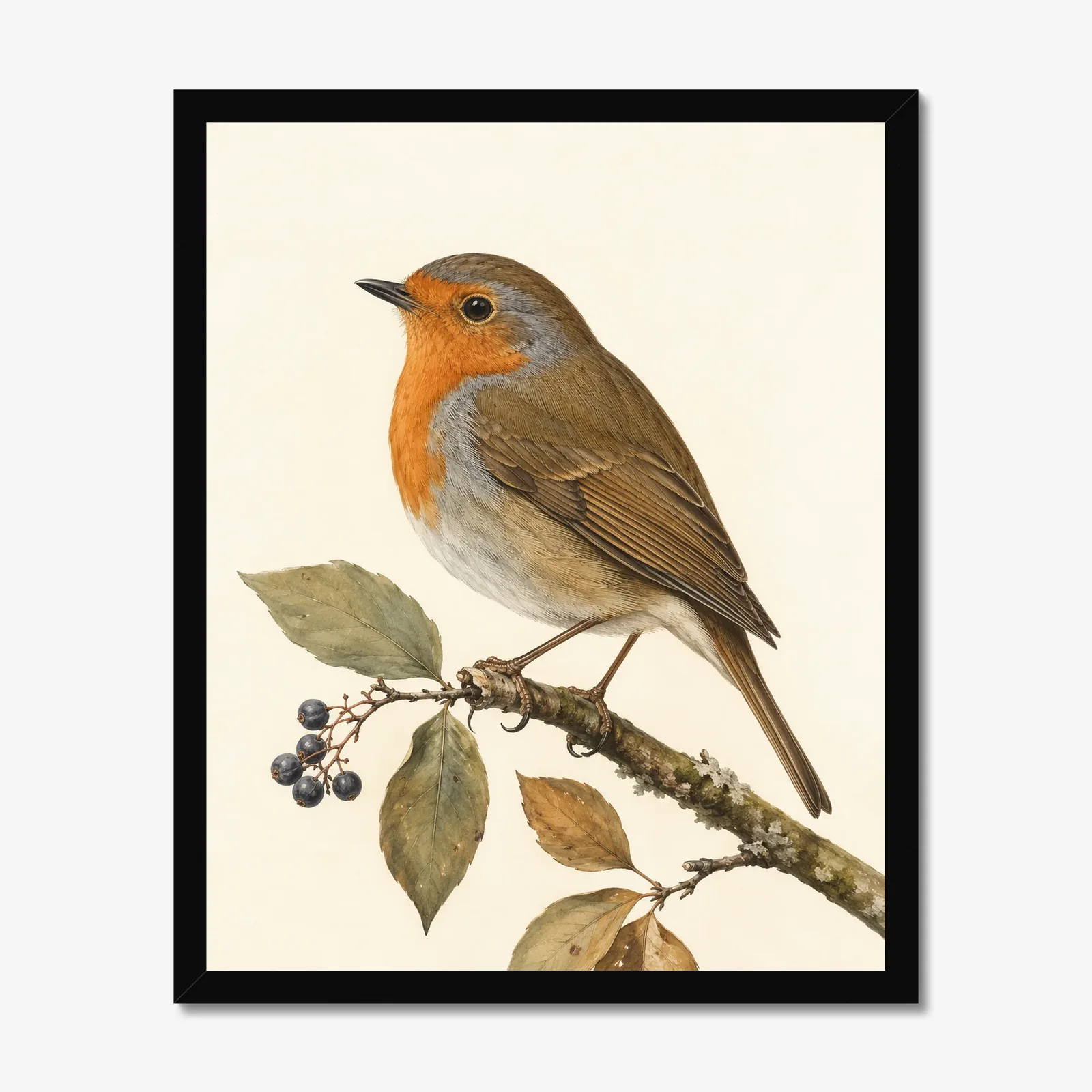 European Robin Print in a black frame