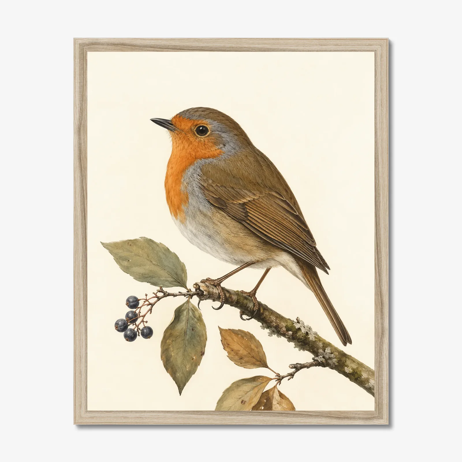 European Robin Print in a natural frame