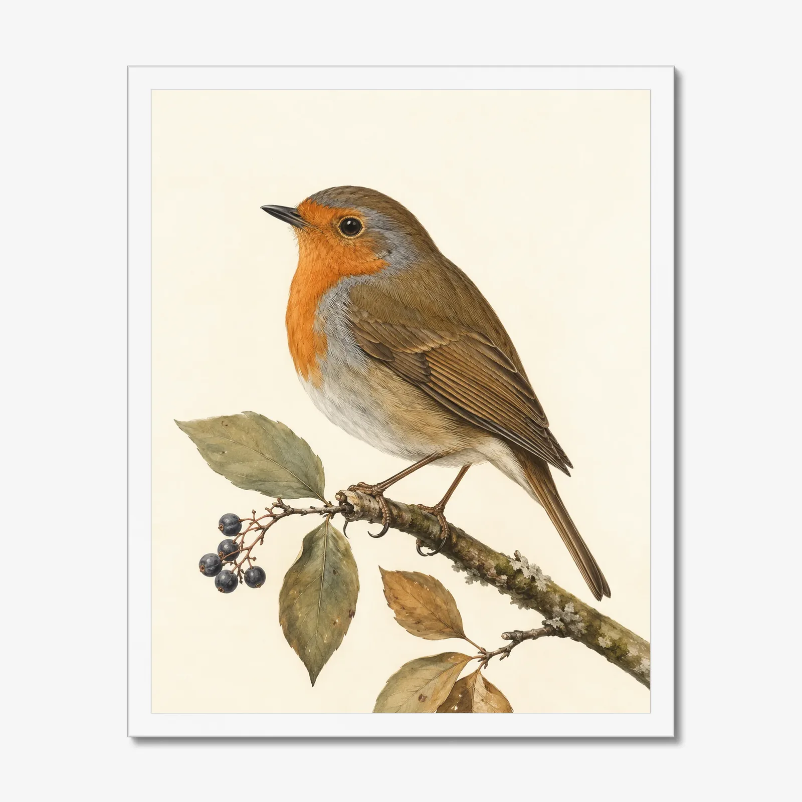 European Robin Print in a white frame
